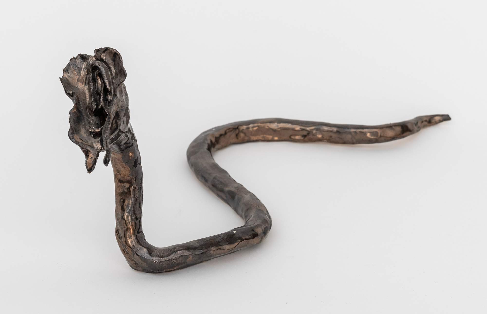 Mecanismo de Evidencia de la Evolución Genital : Female 12