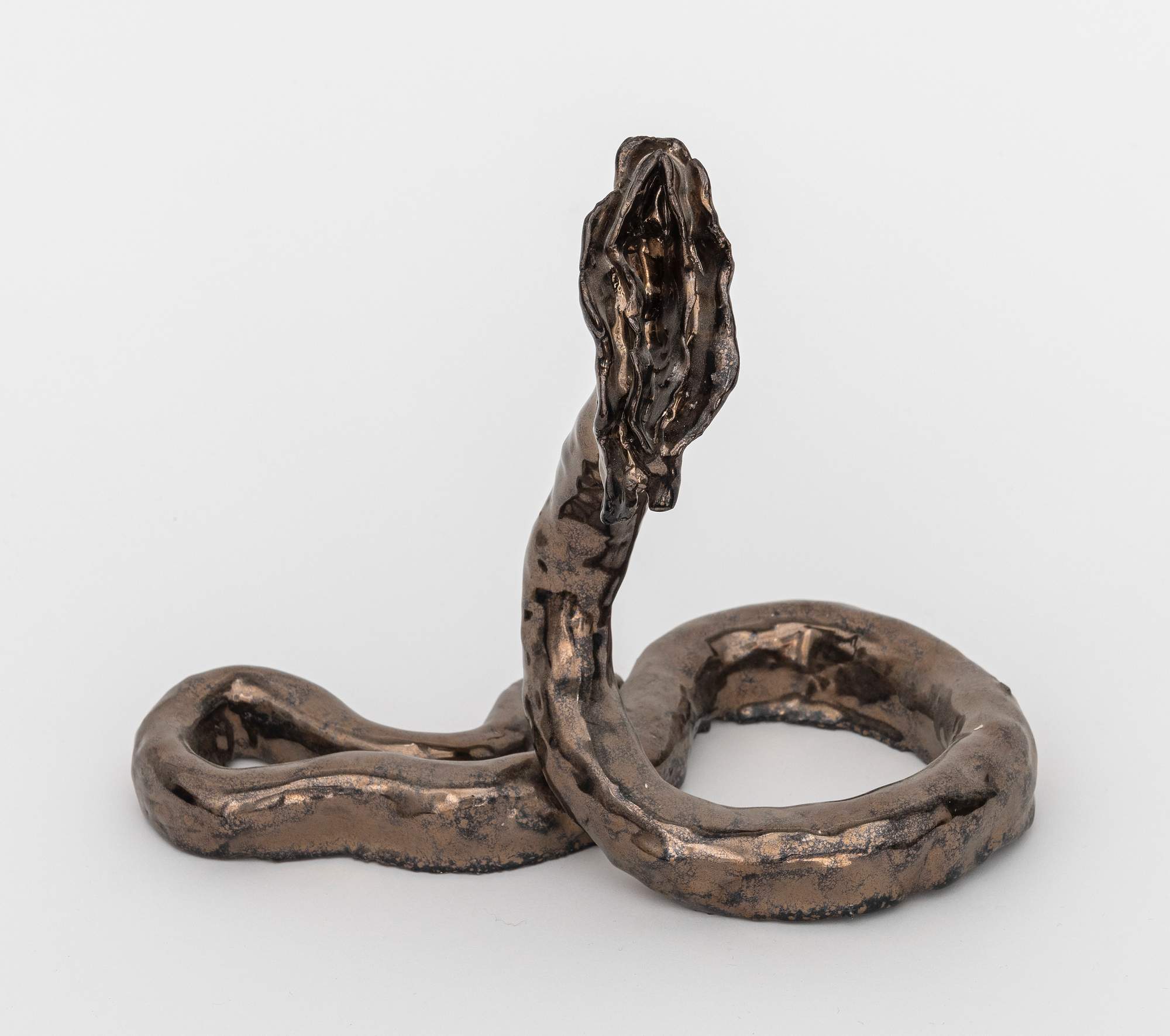 Mecanismo de Evidencia de la Evolución Genital : Female 10