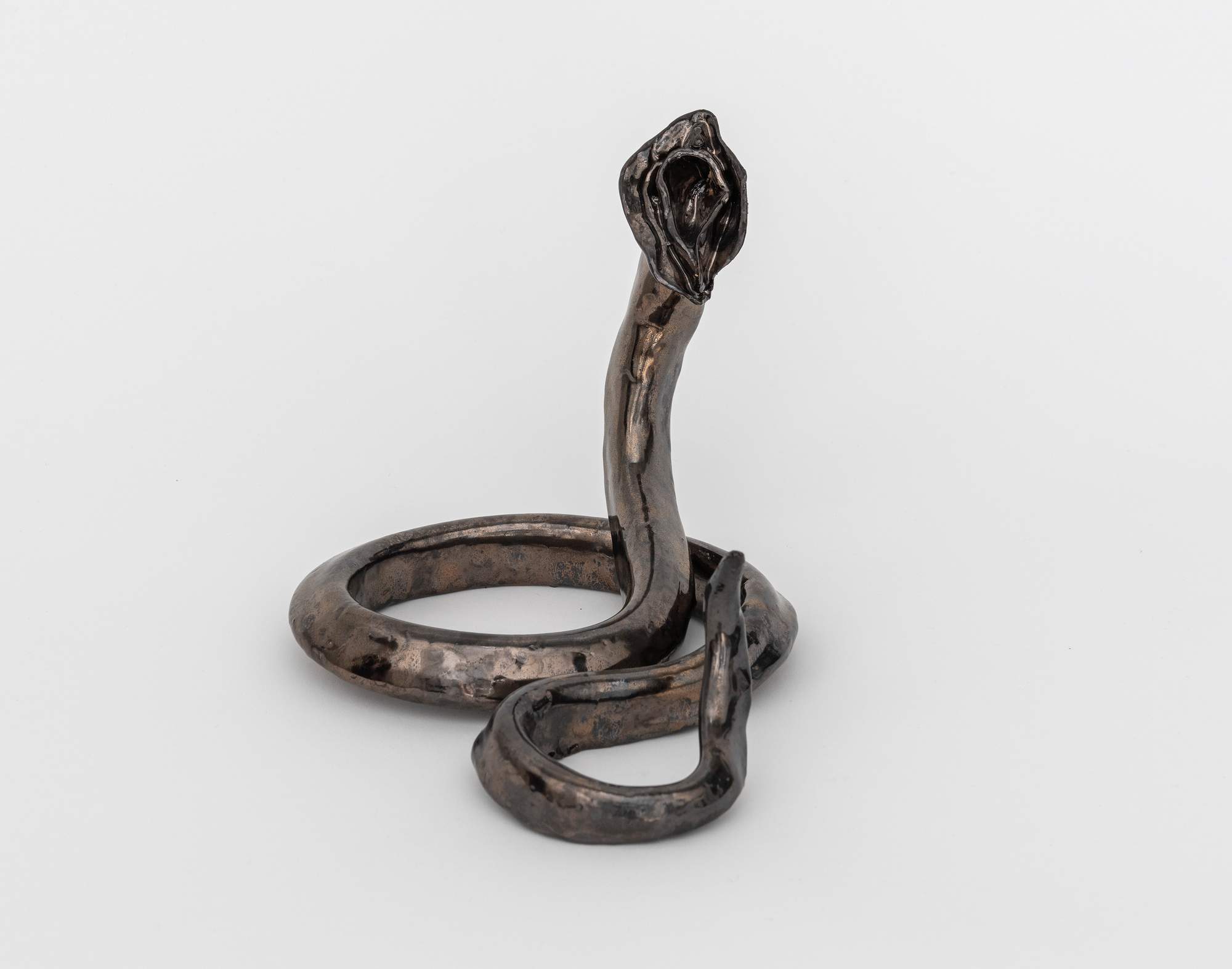 Mecanismo de Evidencia de la Evolución Genital : Female 6