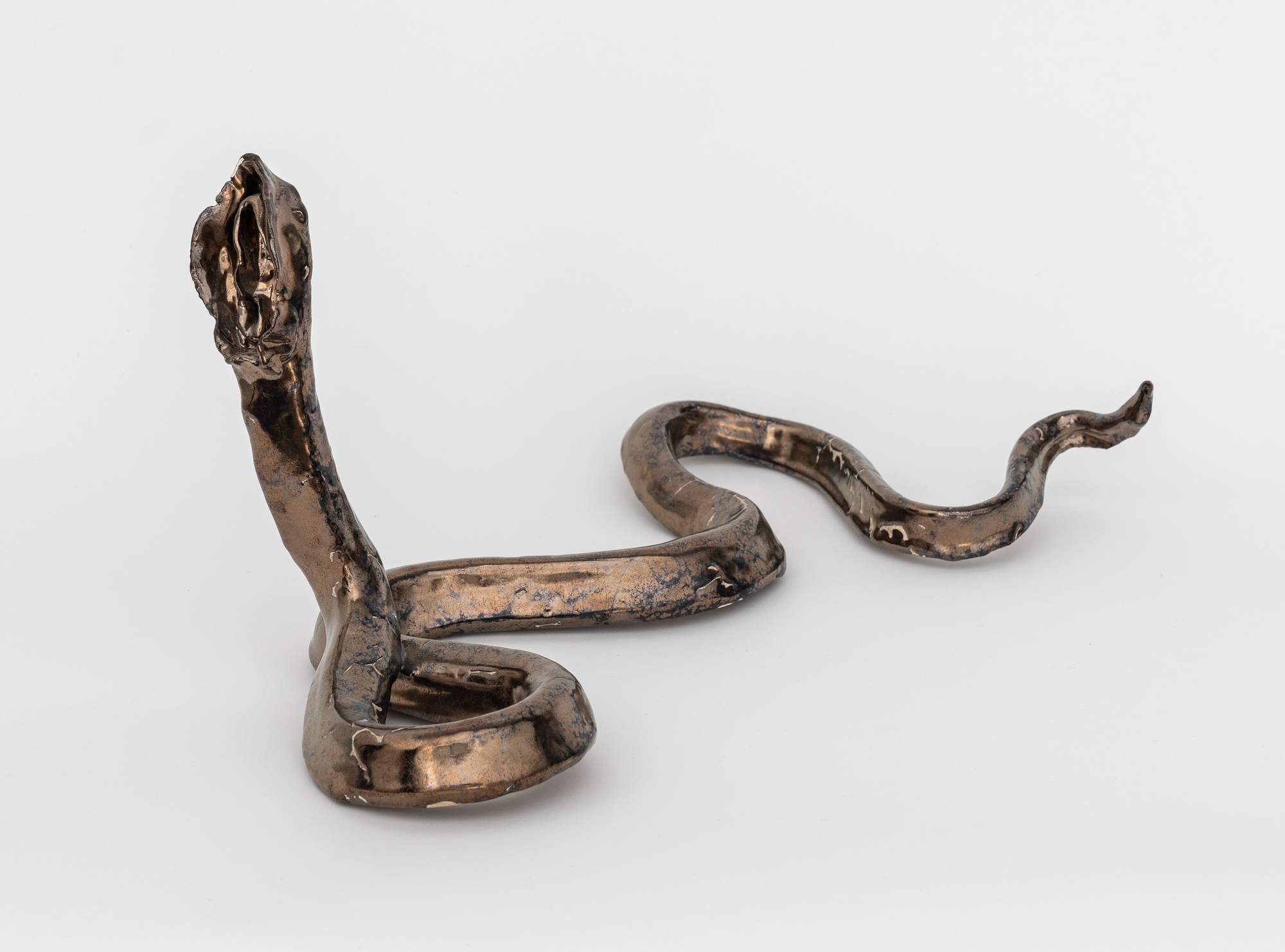 Mecanismo de Evidencia de la Evolución Genital : Female 2
