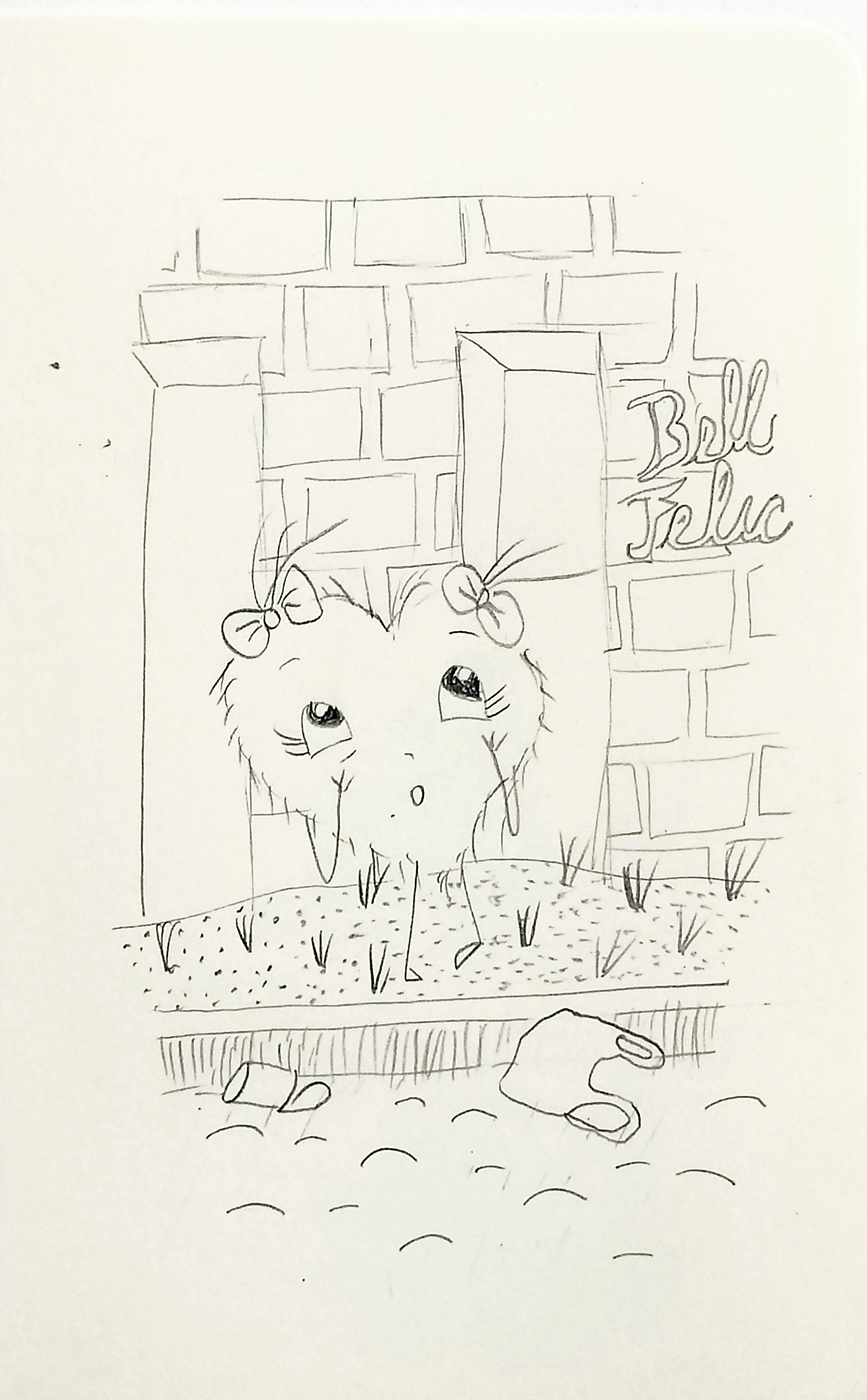Dibujos Moleskine
