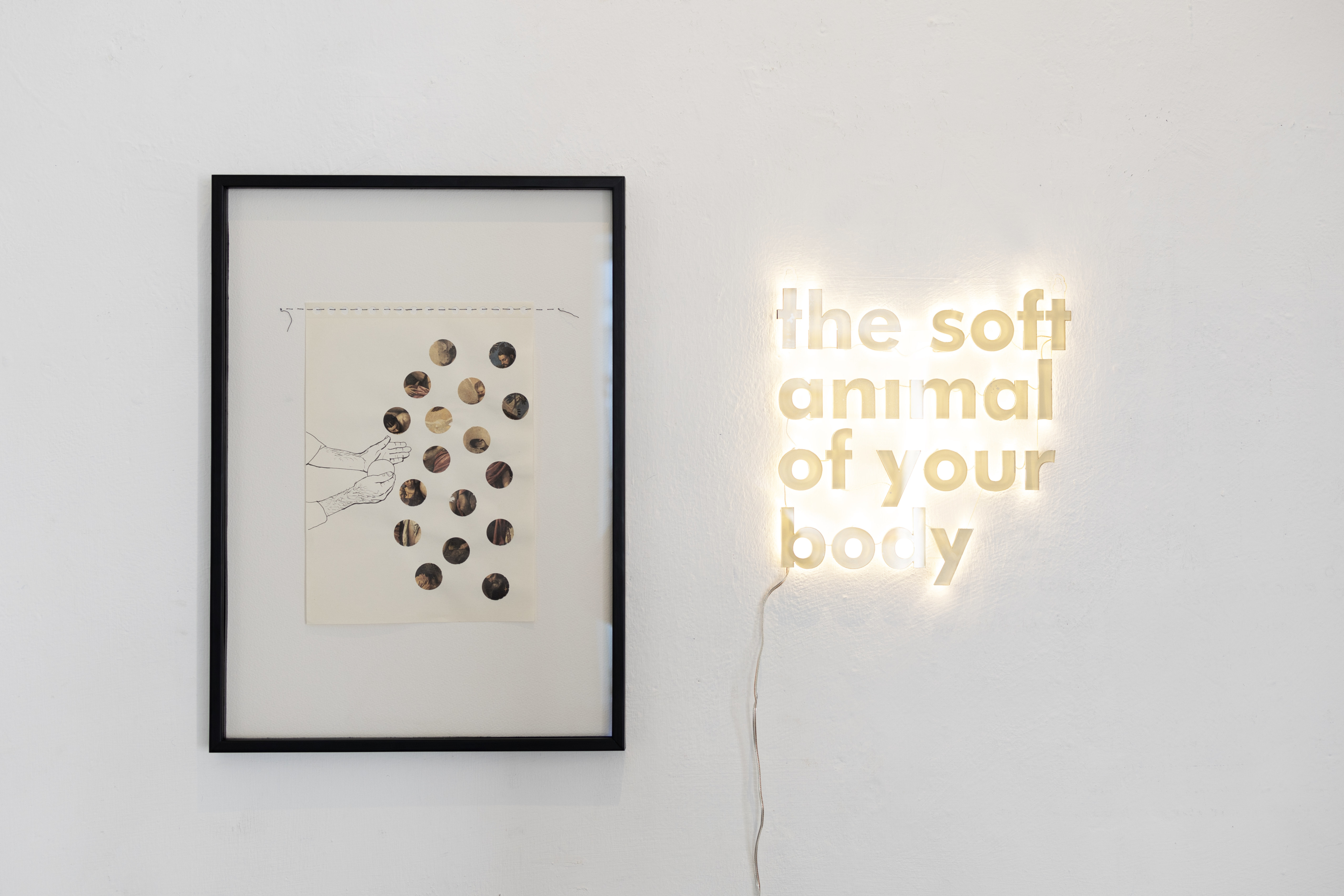 the soft animal of your body (after Mary Oliver)