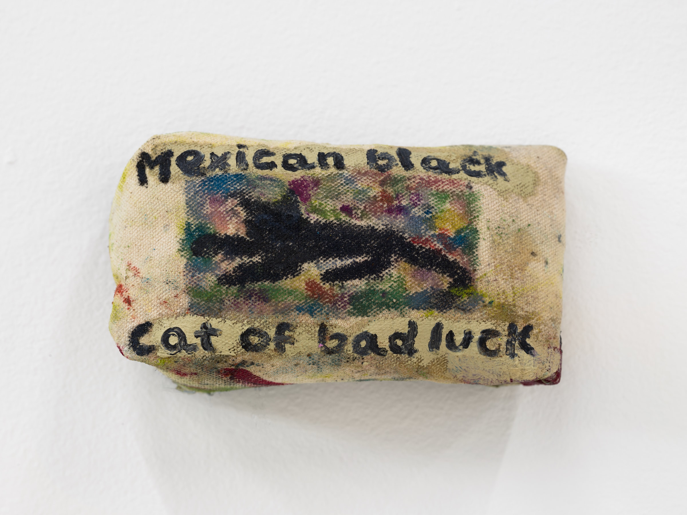Mexican black cat of bad luck