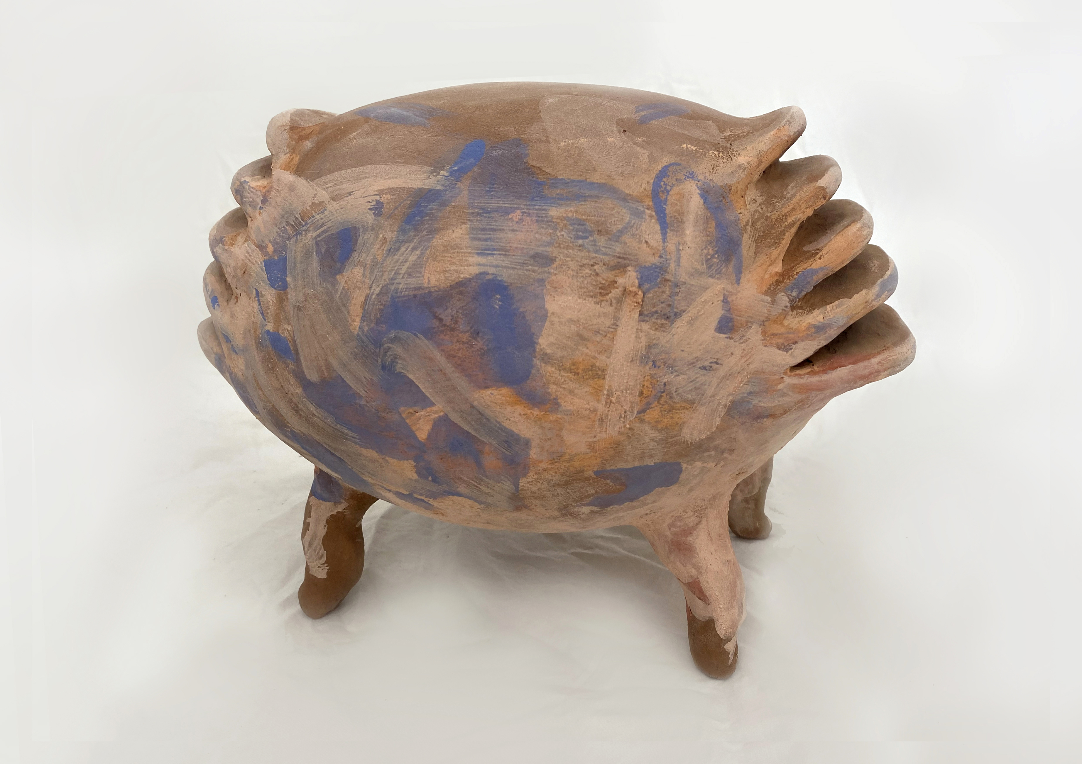 Turtle Drum