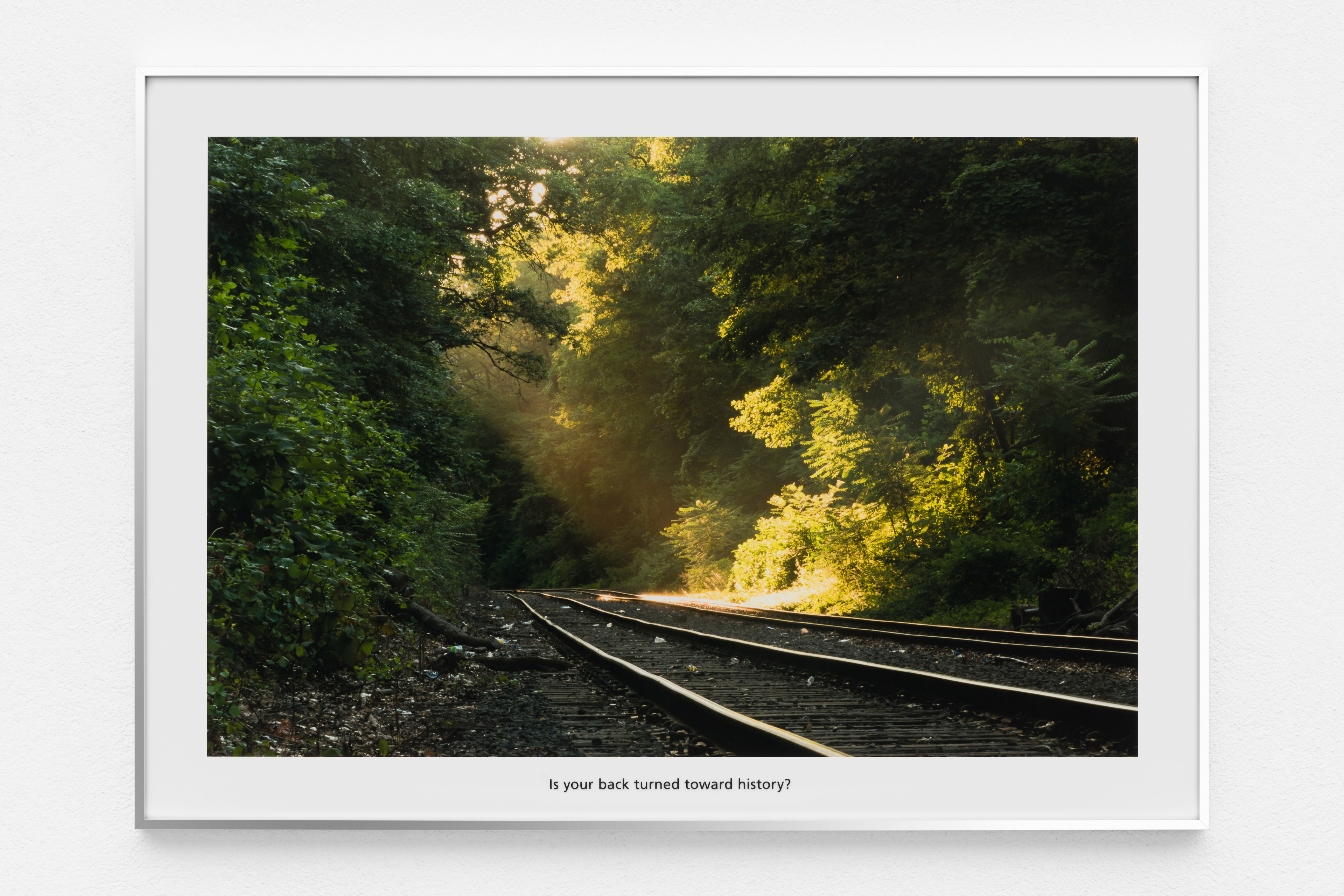 early evening on the new york & atlantic railway, The Premise of a Better Life