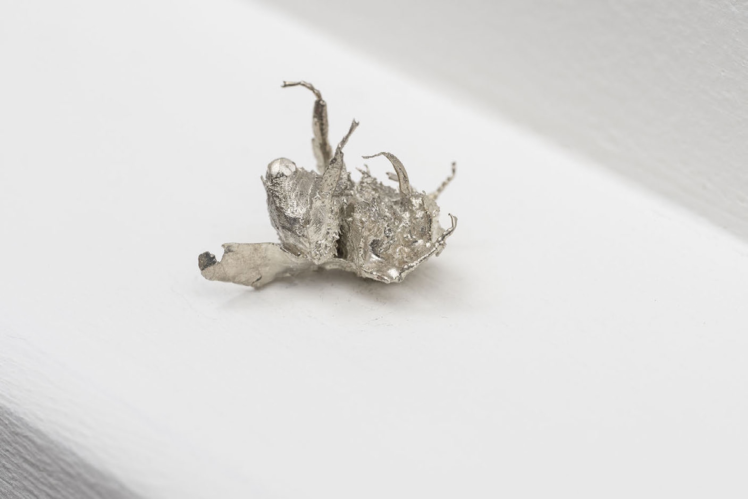 Window sill casualties (assault)