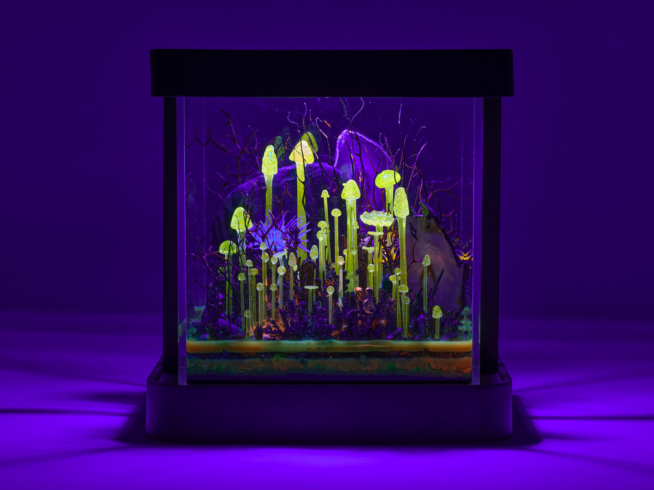 Cosmic Void Oasis