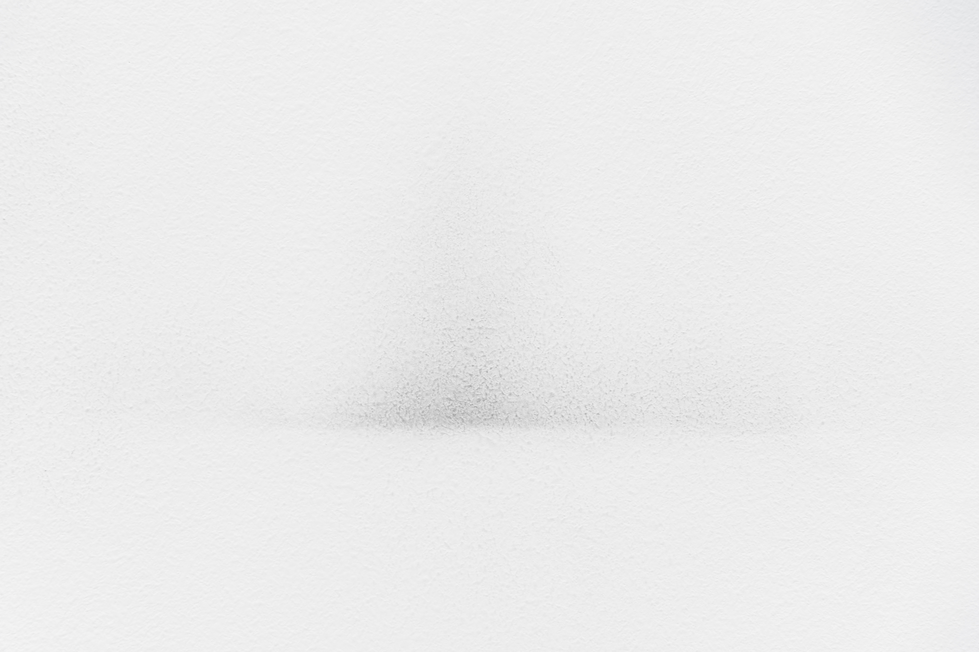 Fogging