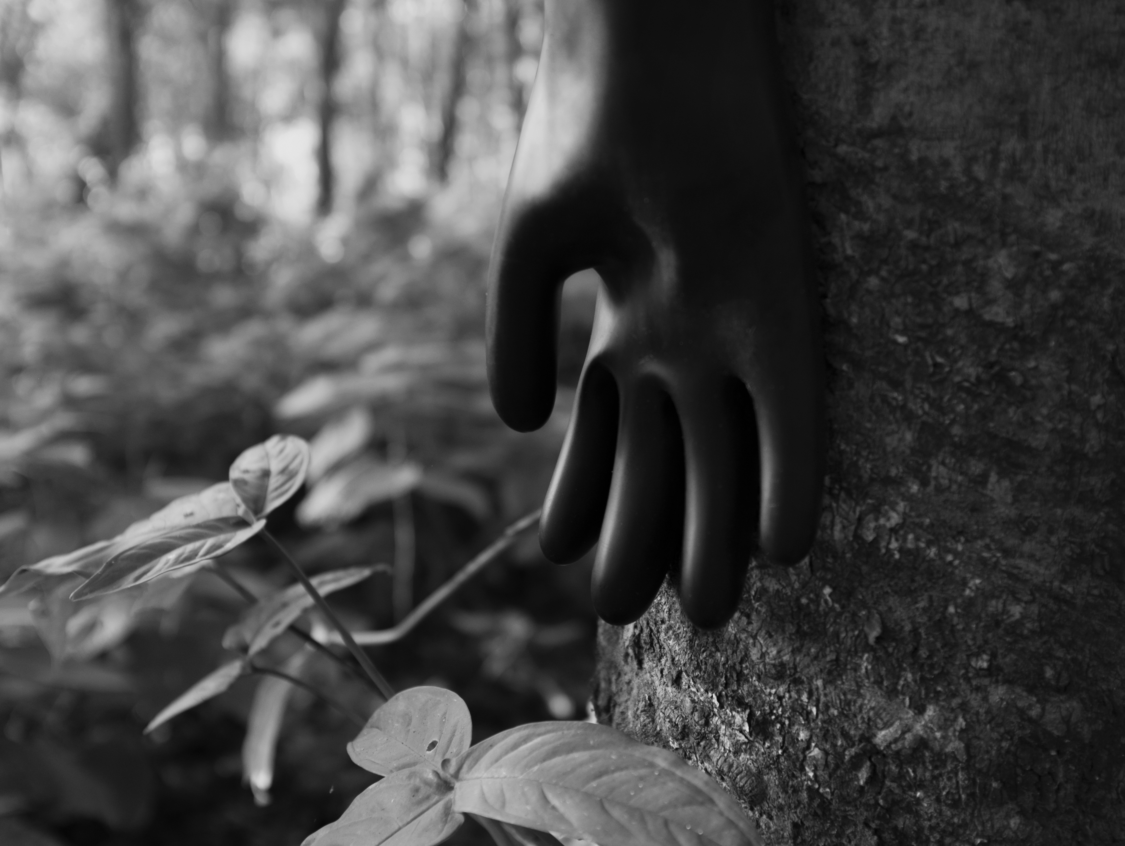 The Skin of Labour