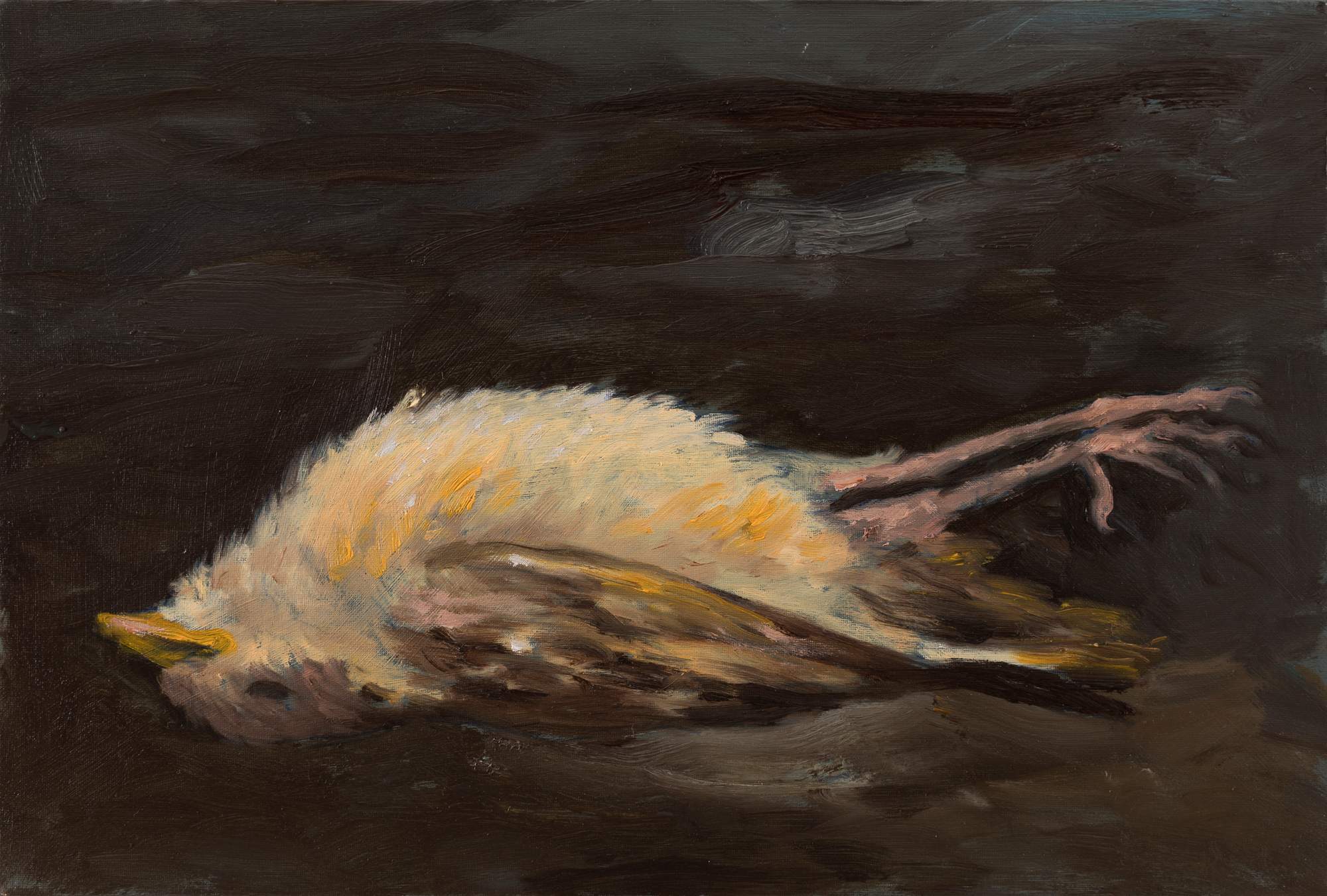 Polinizadores dormidos #2