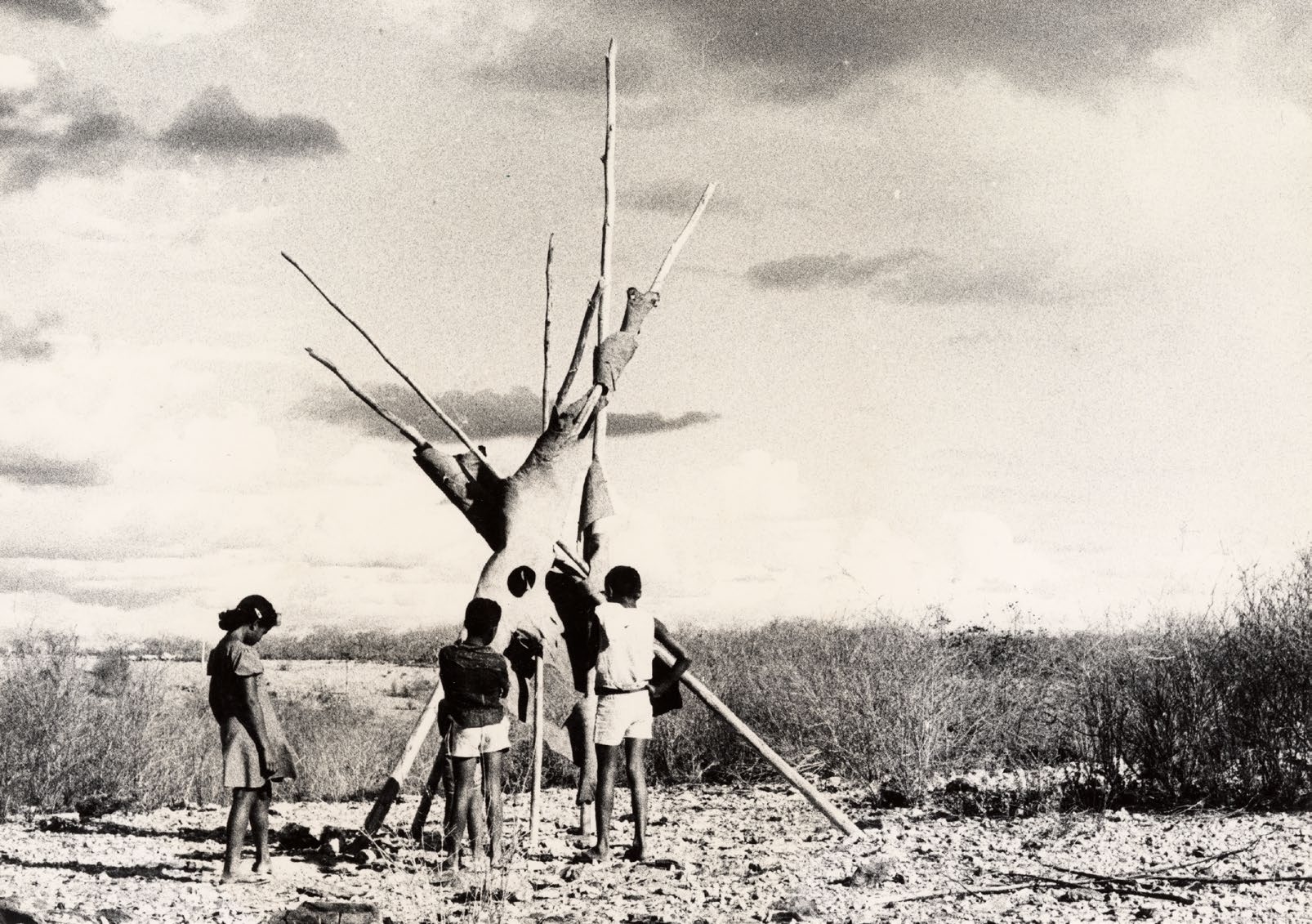Projeto Terra: Escultura de Canudos (Canudos - Bahia)