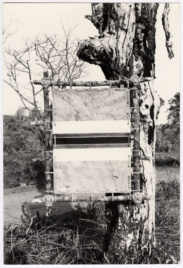 3o ato: o homem, da série Terra II (Zona Rural São Gonçalo dos Campos - Bahia)