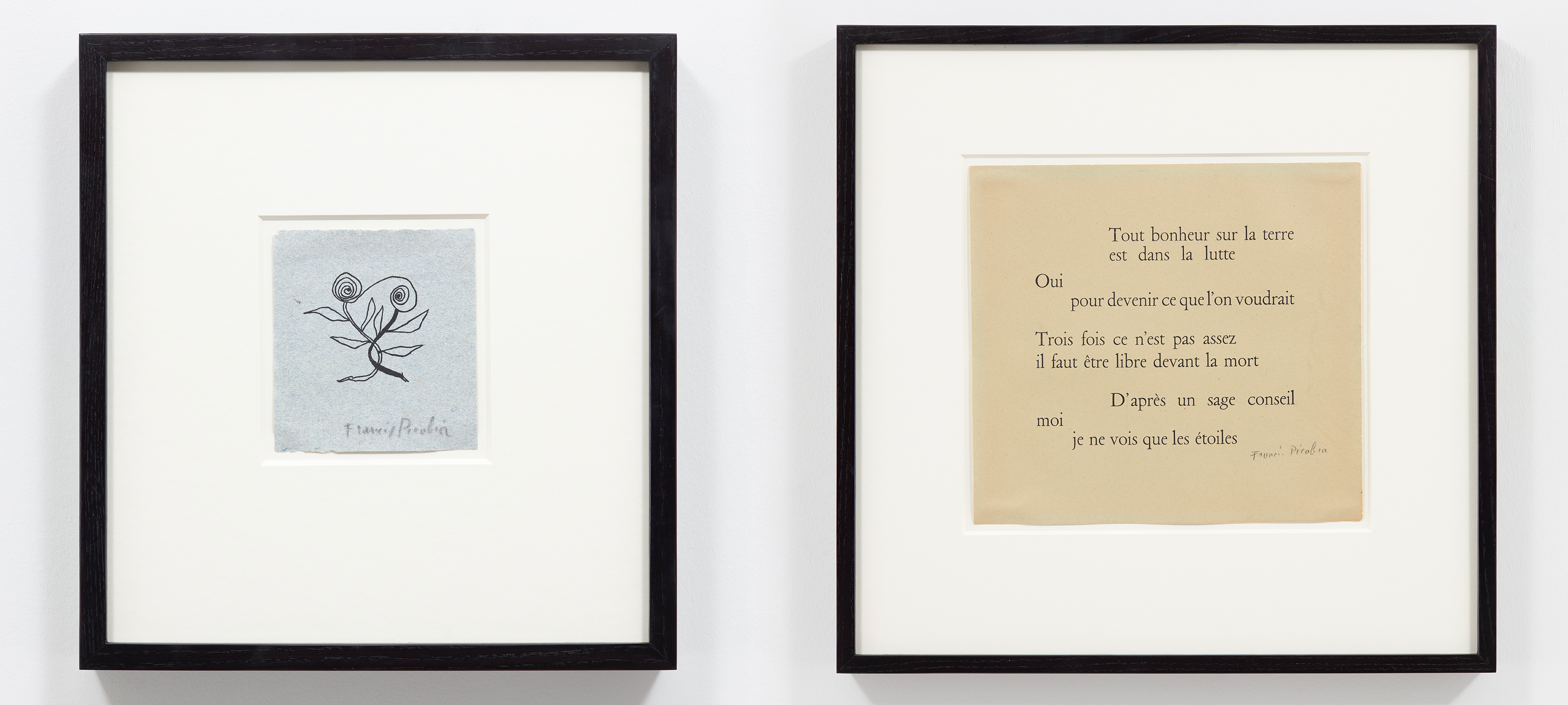 Assortiment de Dessins de Francis Picabia
