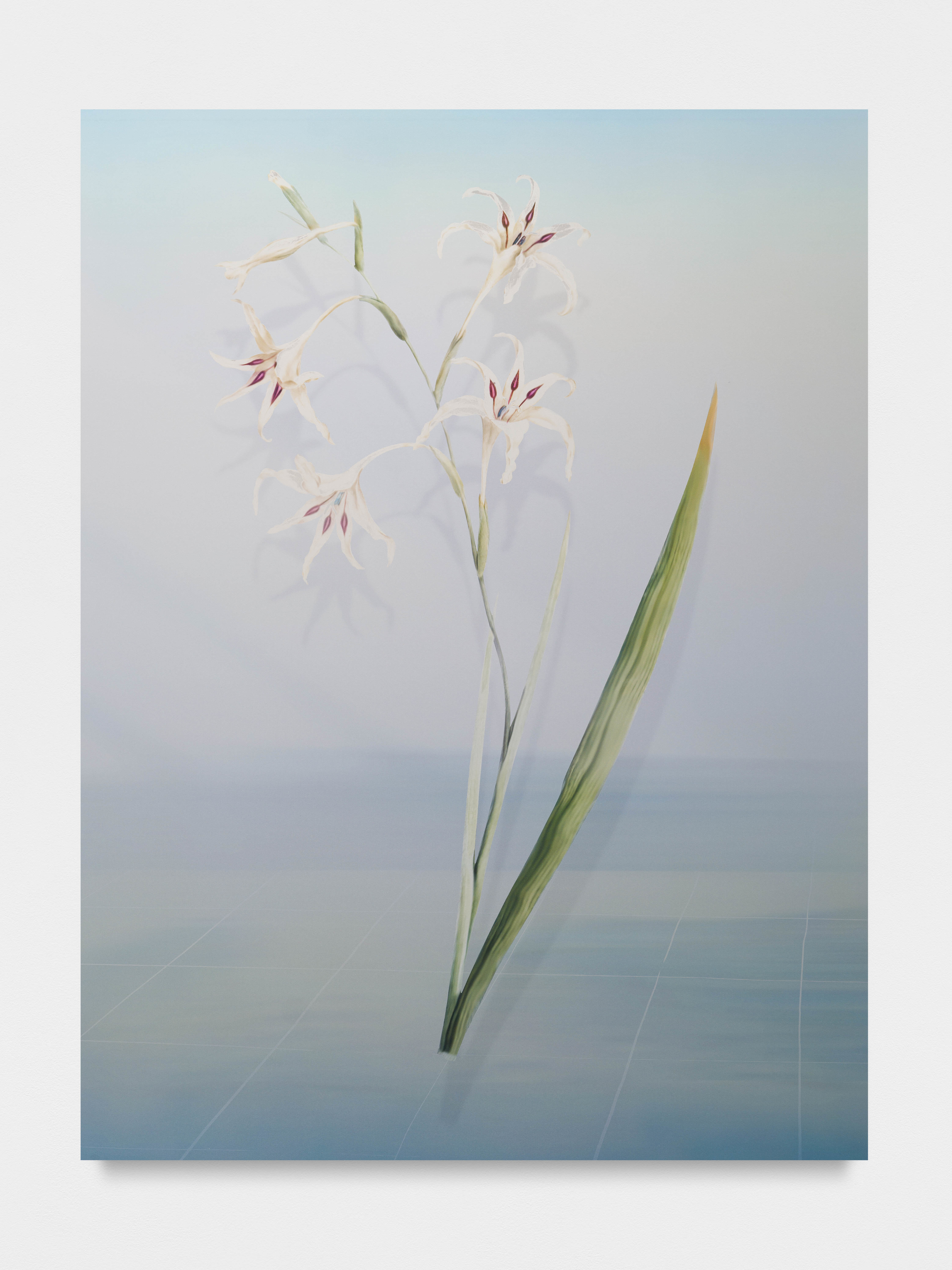 famous paintings”_"breeding tetras”_birmingham football club uk