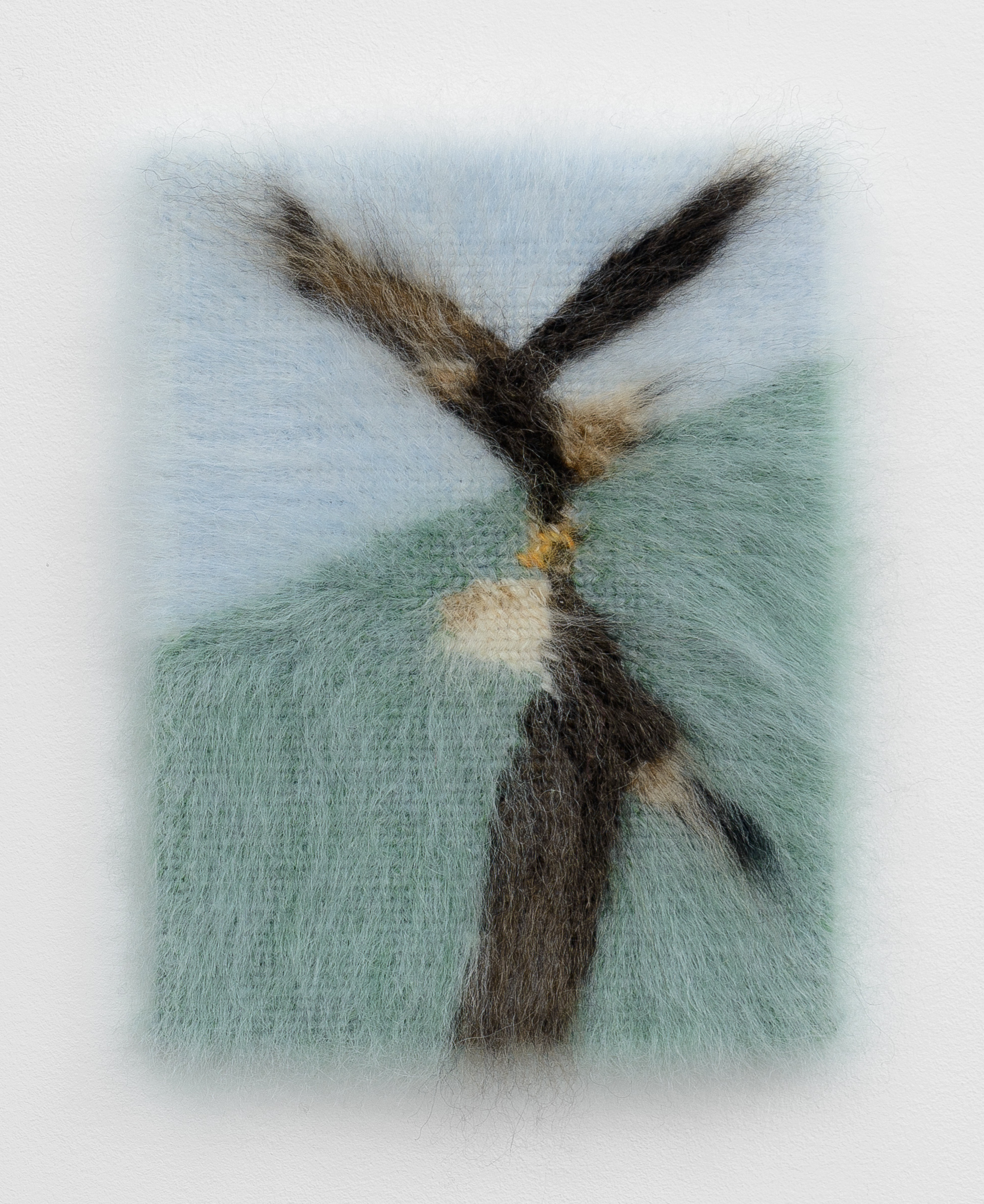 Eagles Spinning II