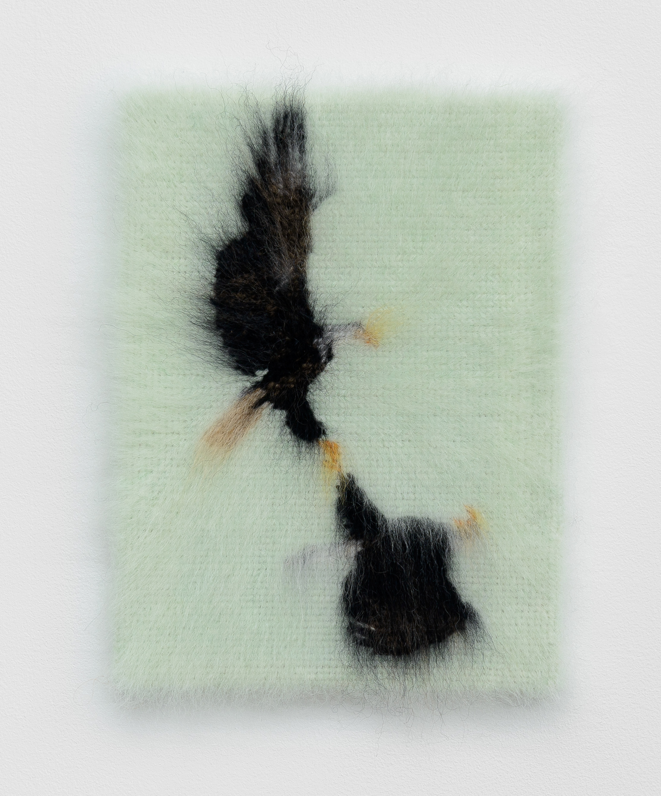 Eagles Spinning I
