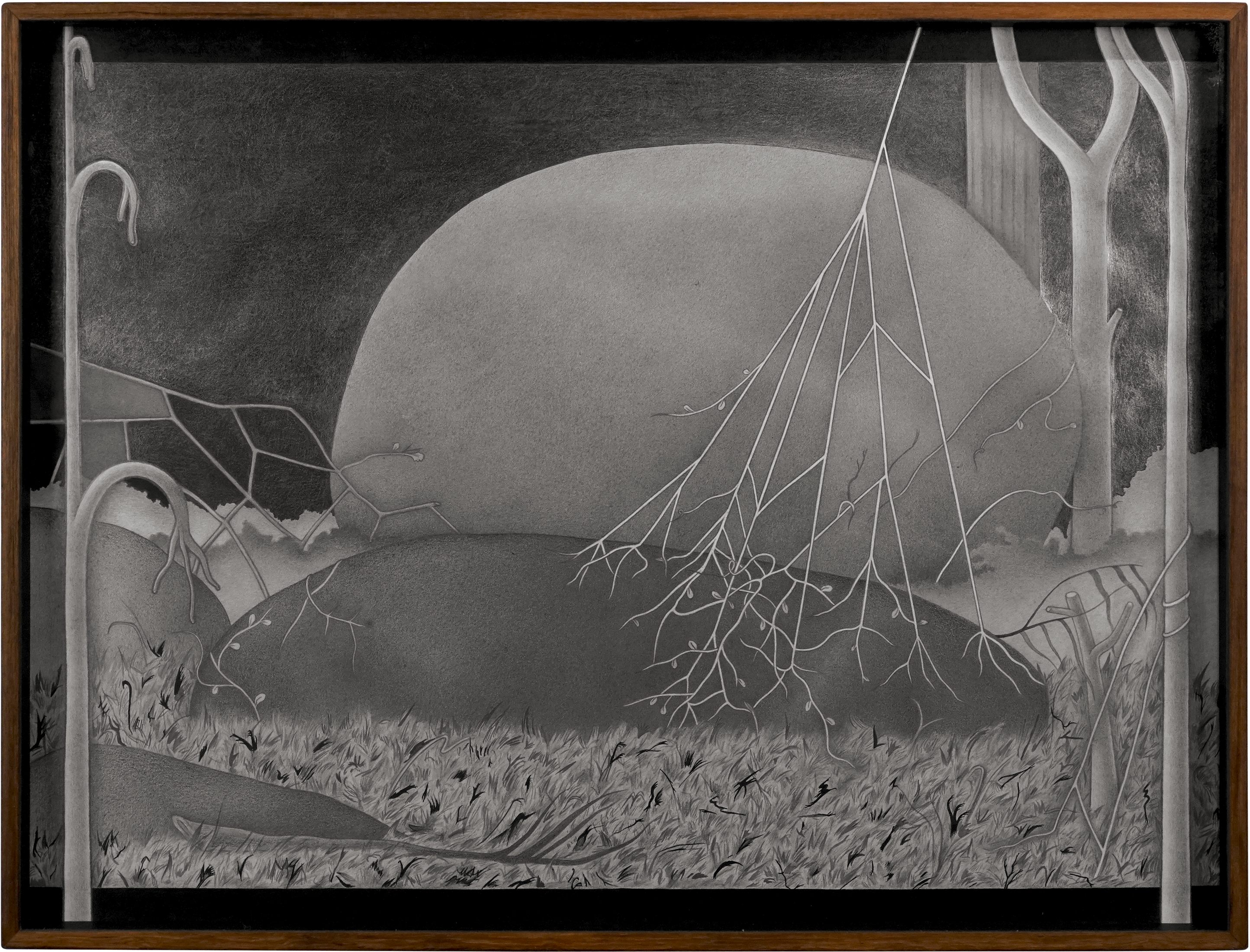 Moving Images of Stones on the Island_July