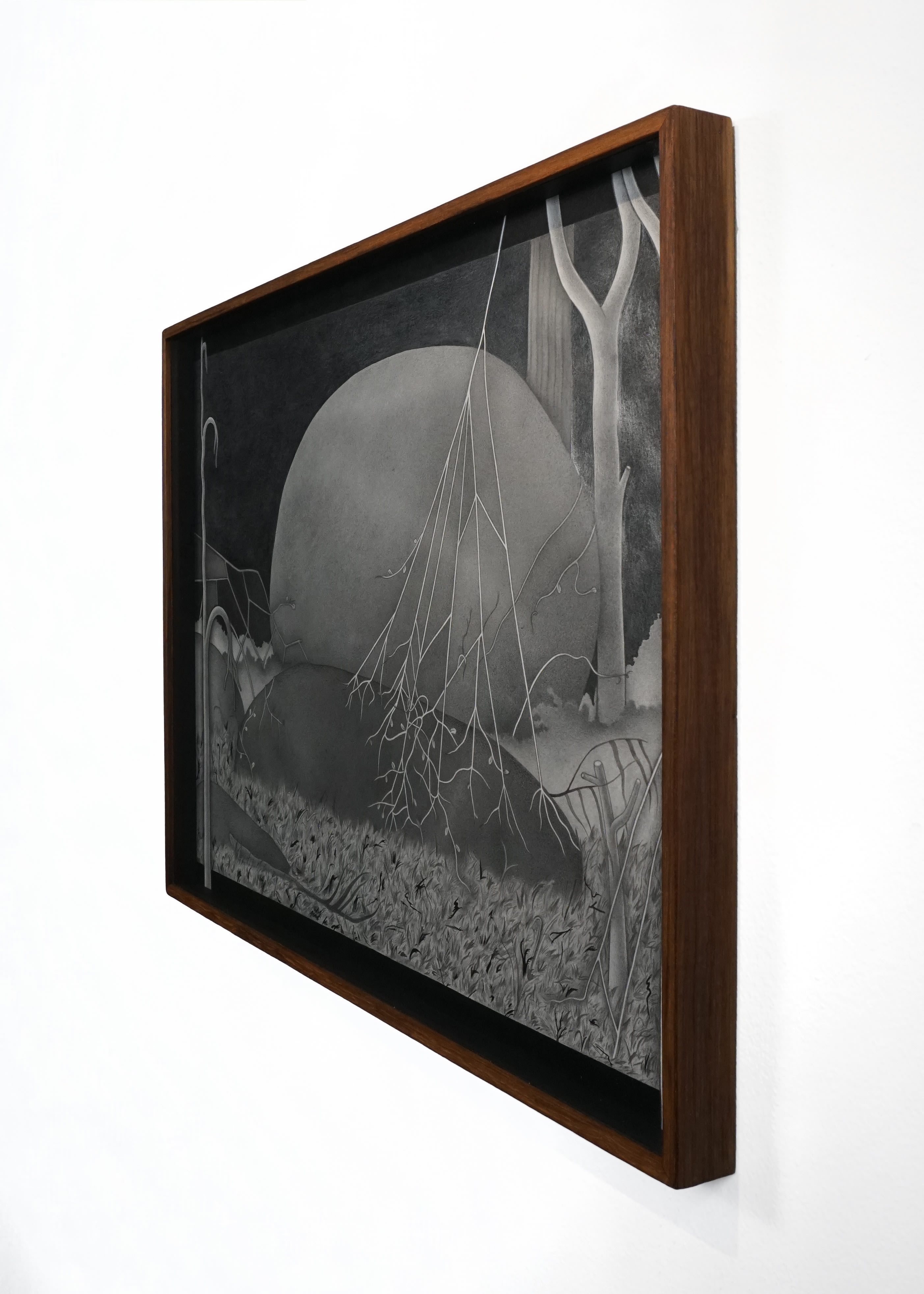 Moving Images of Stones on the Island_July