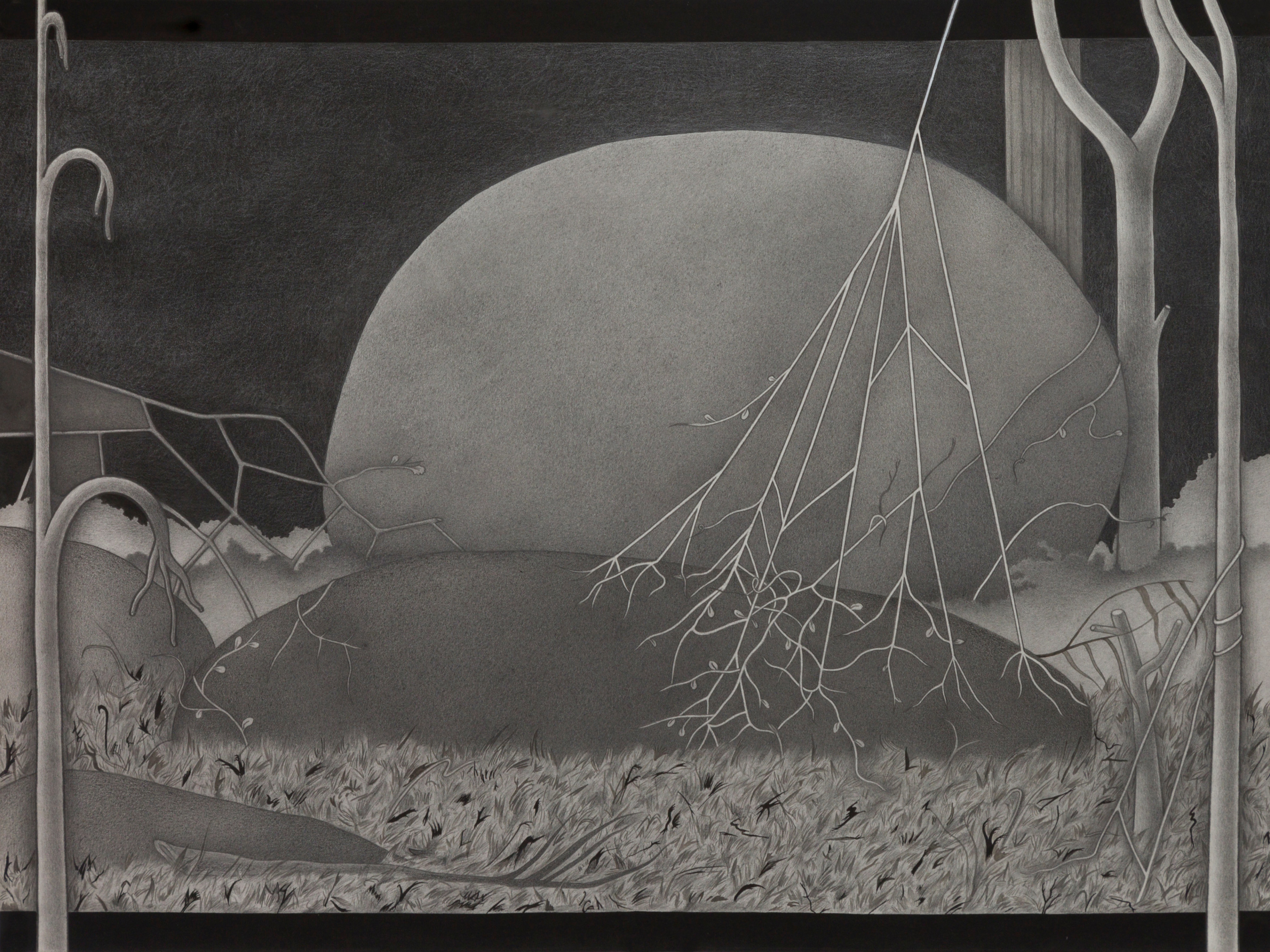 Moving Images of Stones on the Island_July