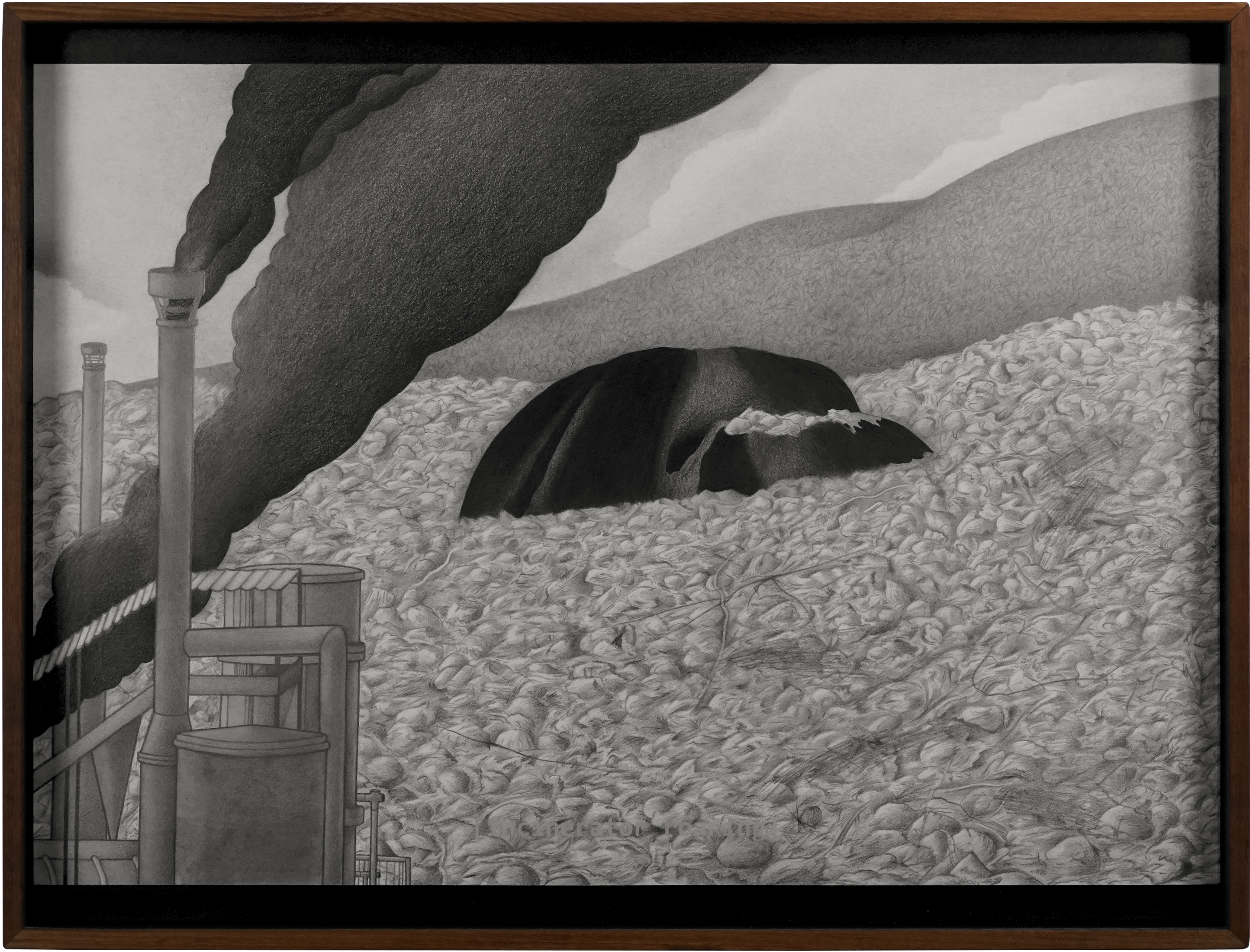Moving Images of Stones on the Island_August