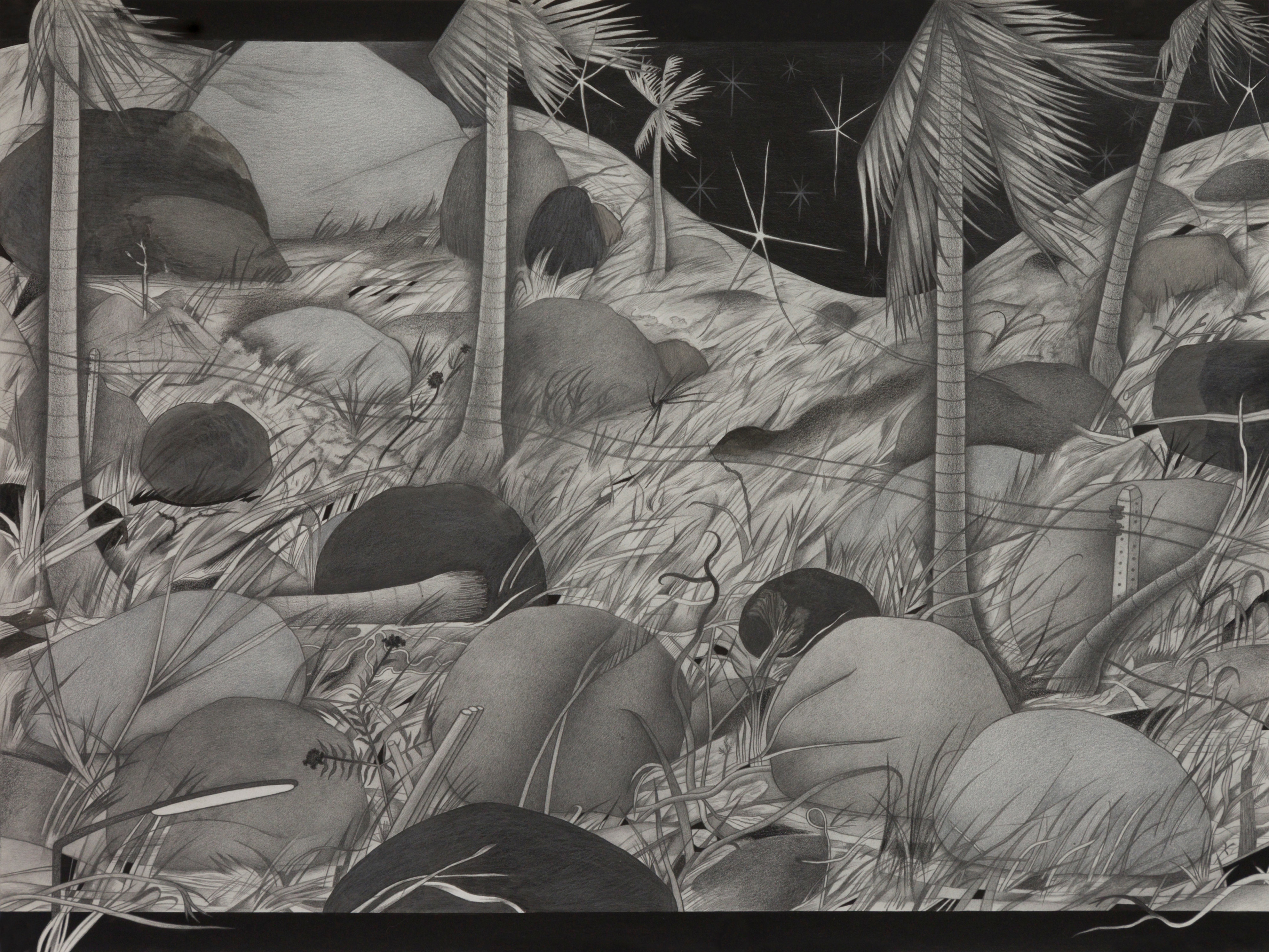 Moving Images of Stones on the Island_September