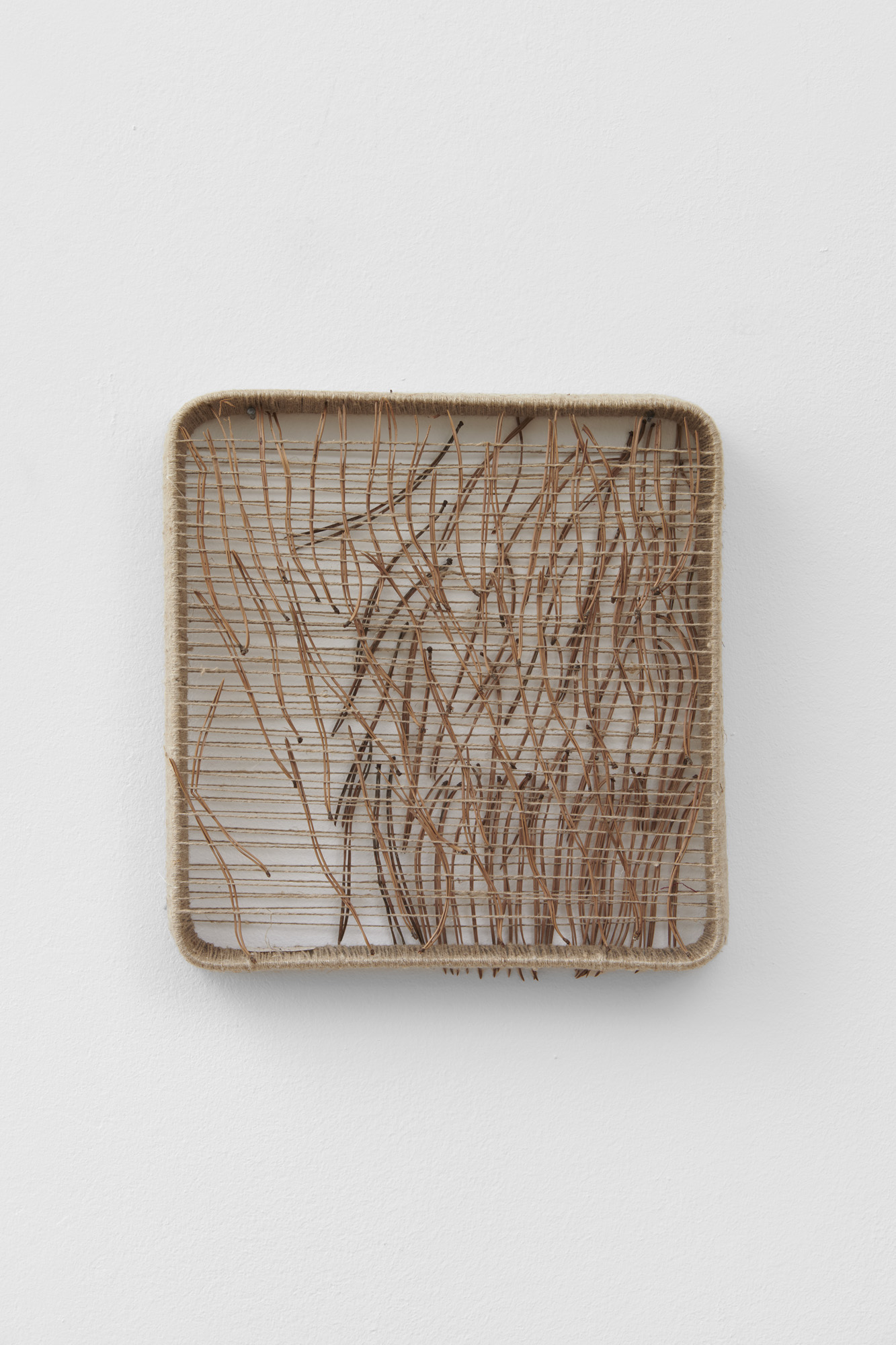 Composition with Pine Needles II