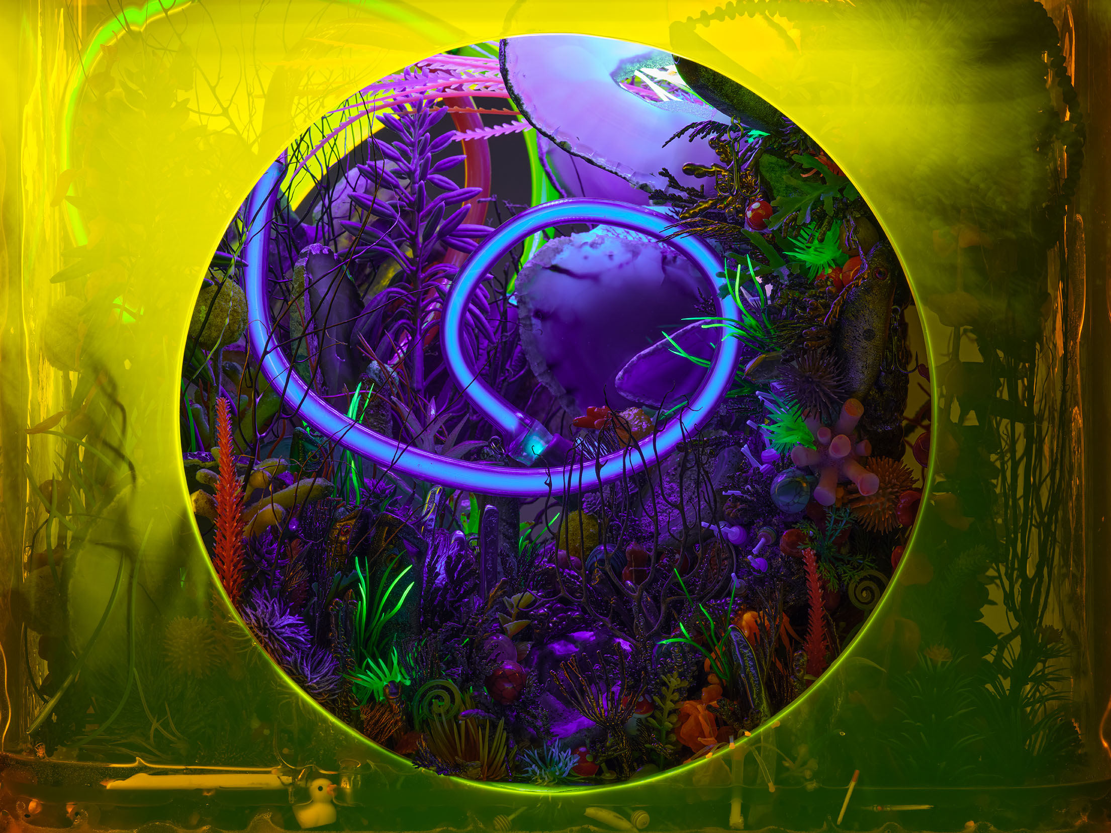 Psychotomimetic Remembrance of Eternity