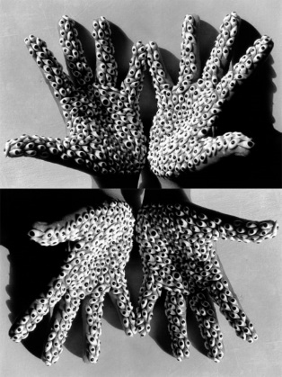 Sea Creature