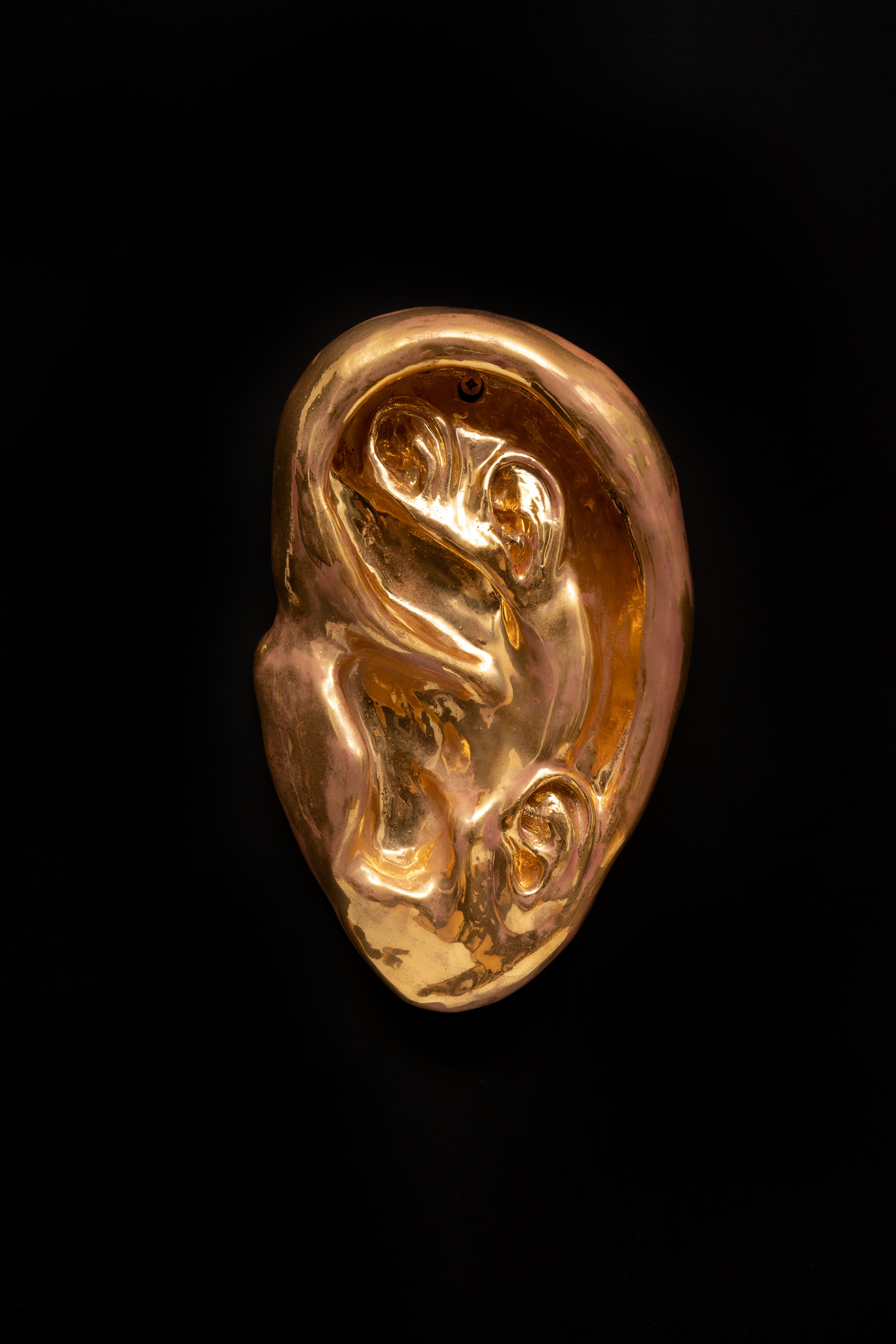 Pre-attentive processing (rose)