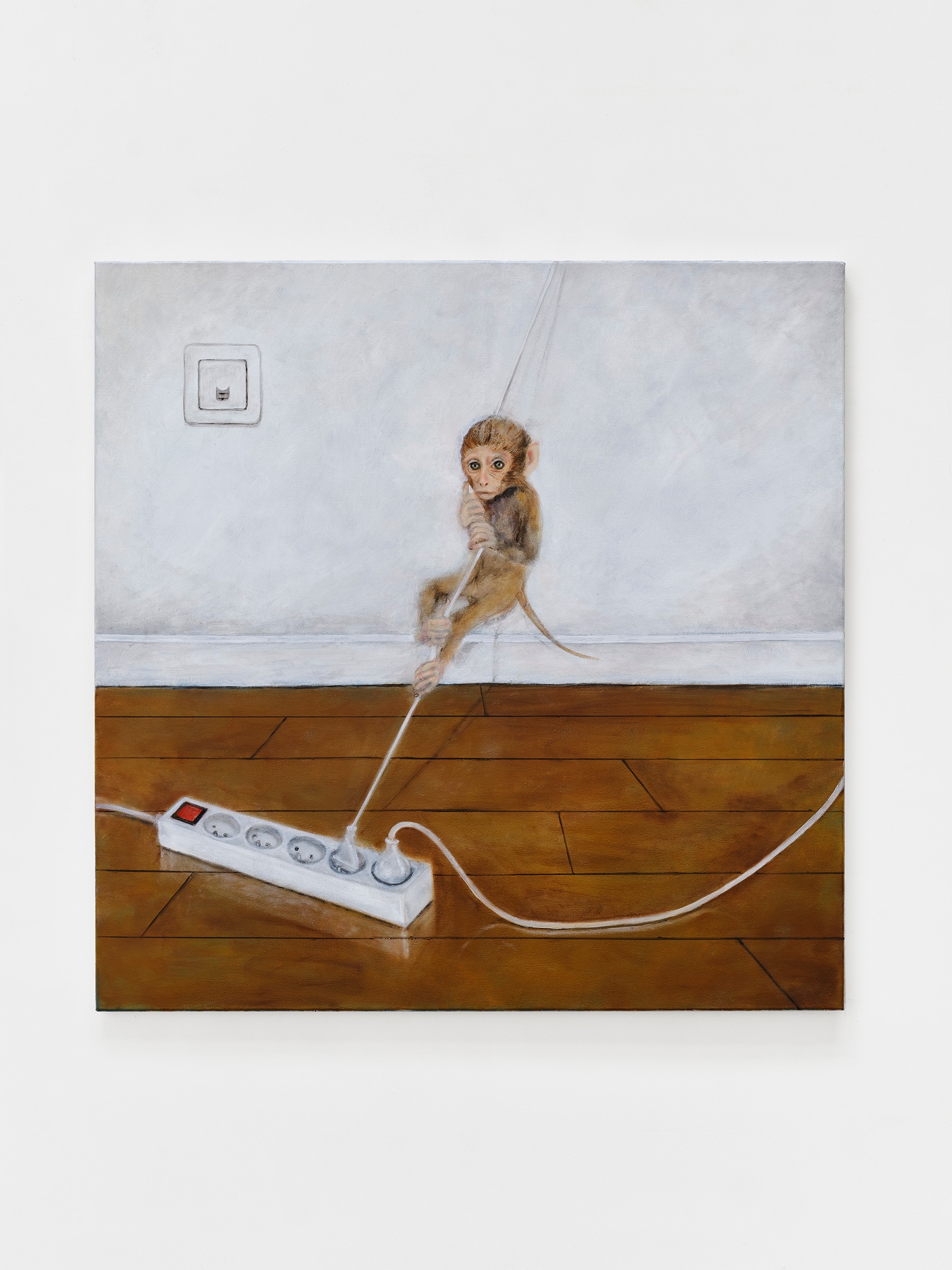Baby Monkey & Power Strip