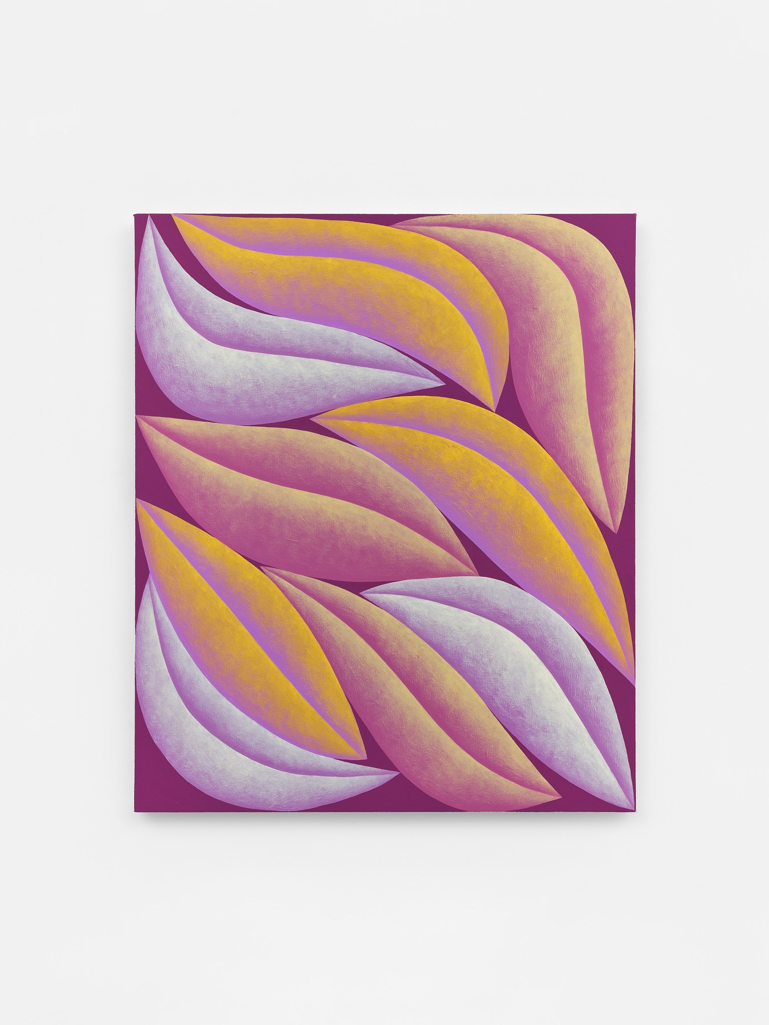 Purple, Yellow, Maroon