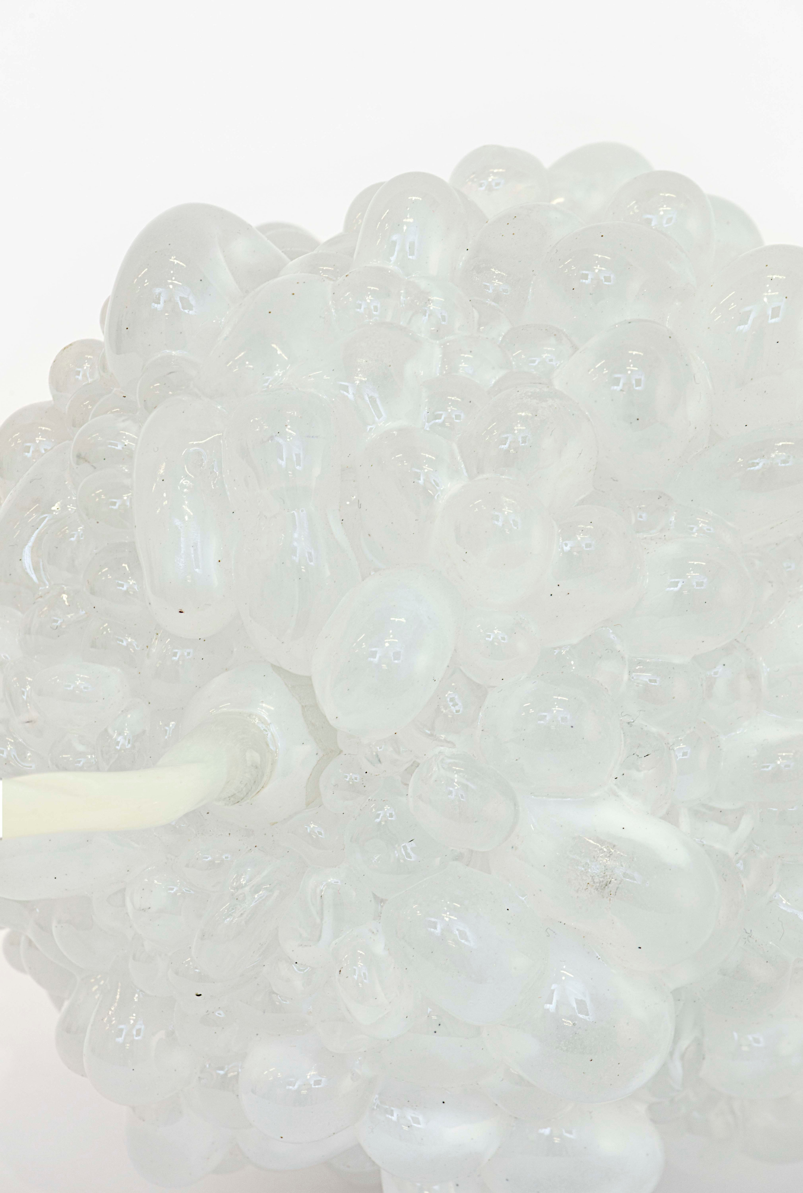 White heart bitter squash