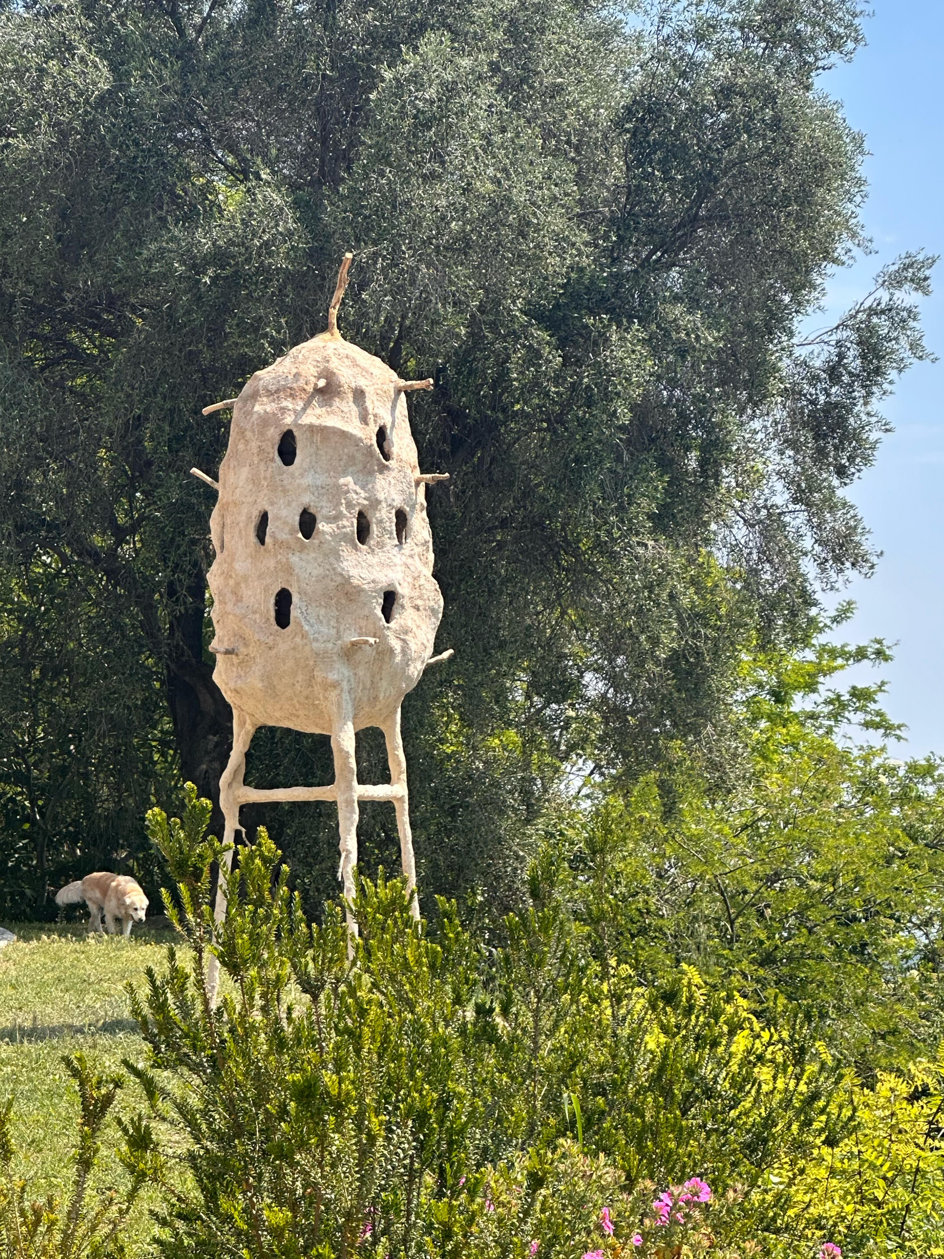 Untitled (Beit el Hmam I)