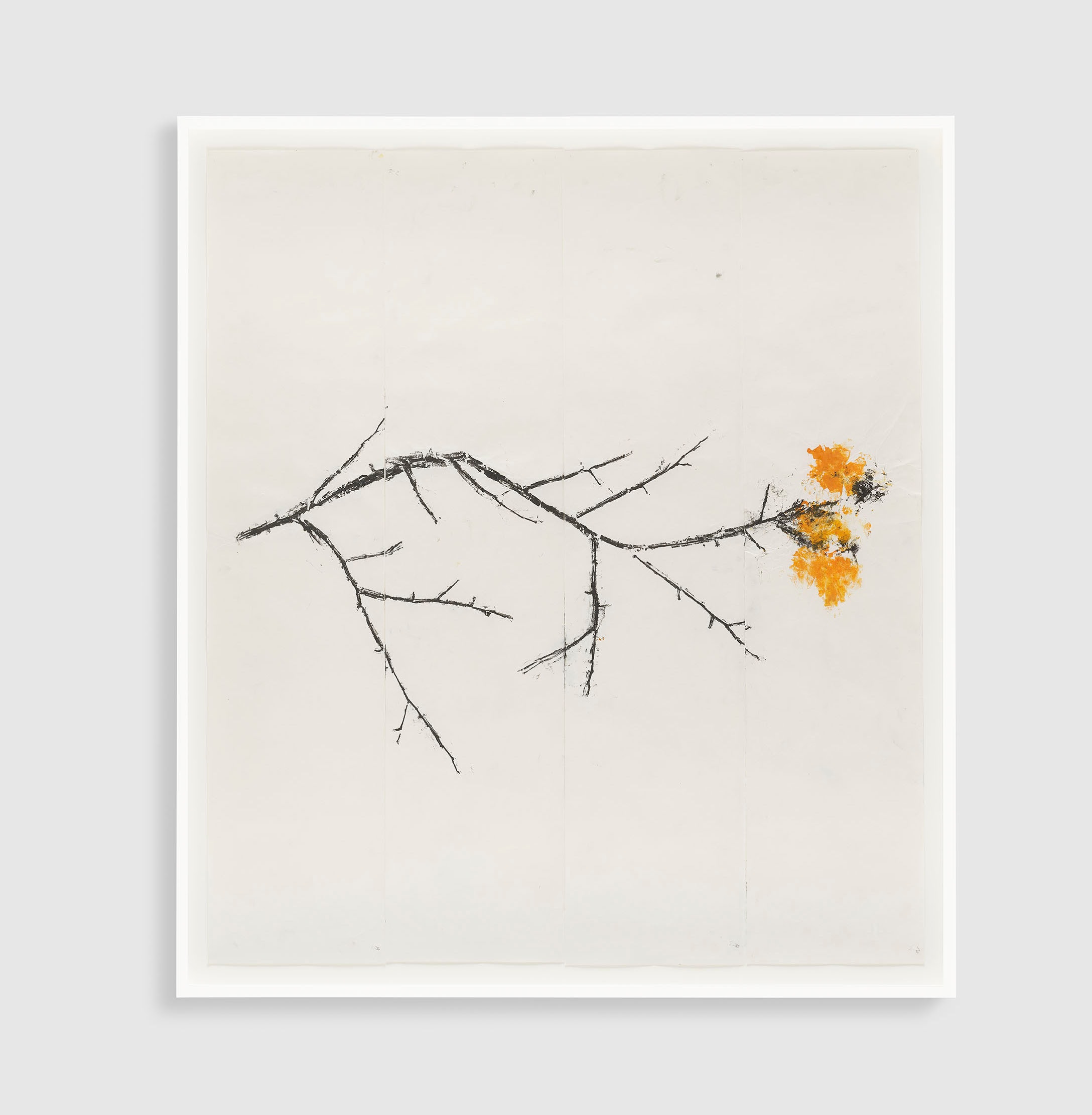 Persimmon Suite 2