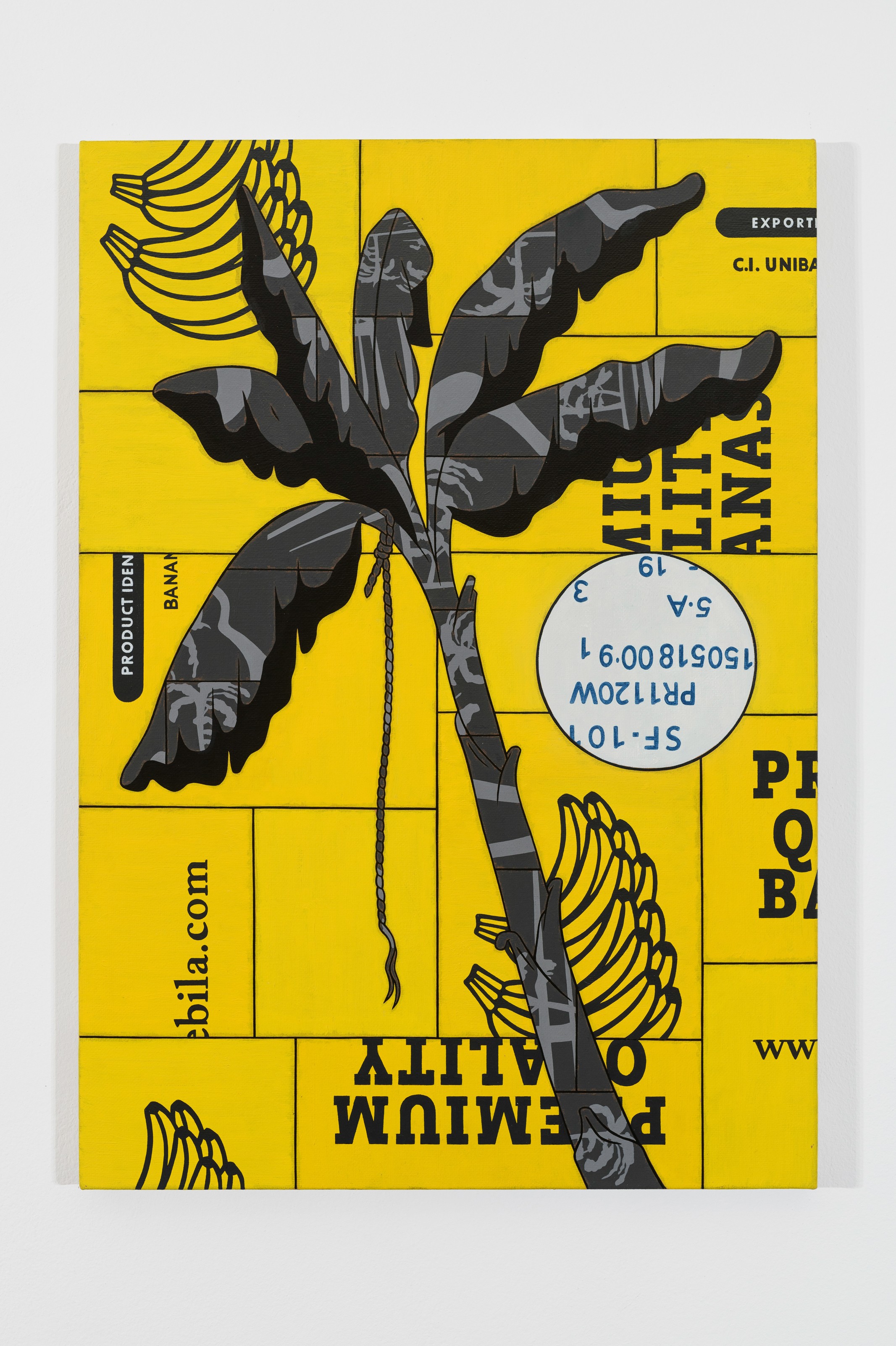 Banana Tree with rope (study)