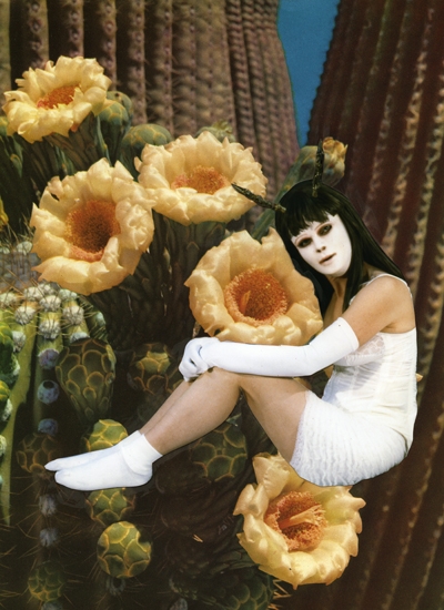 Cactus Devil (8.24.12)