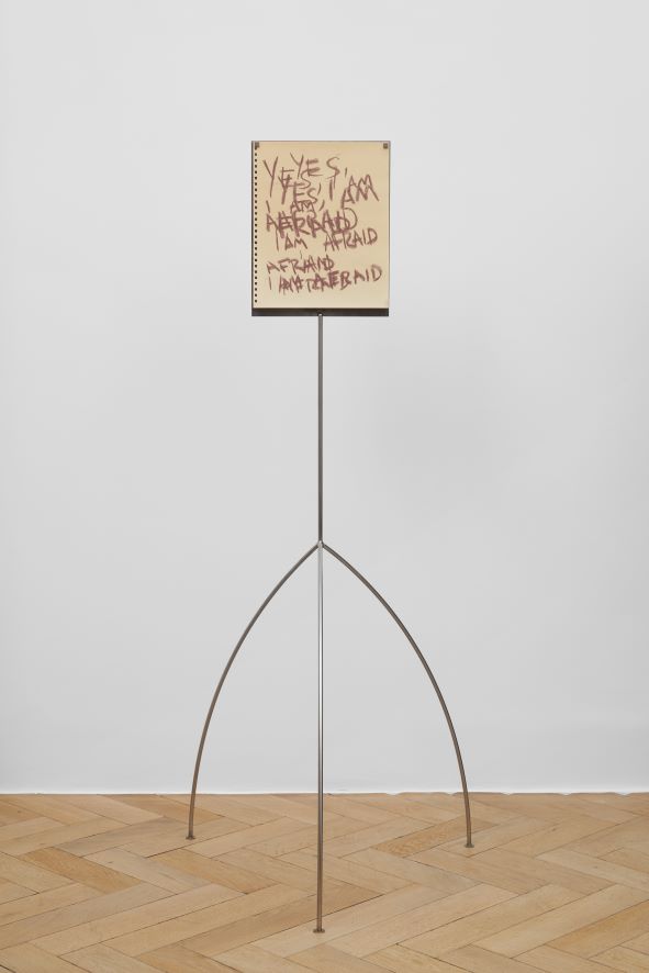 UNTITLED (YES, I AM AFRAID)
