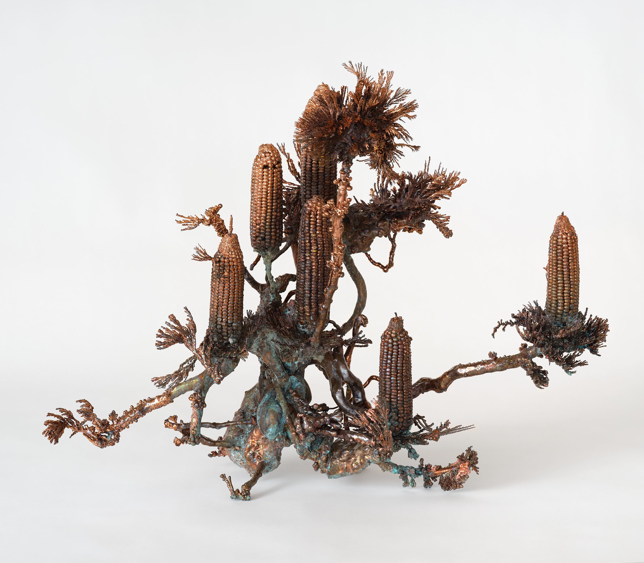 Dendrite Bonsai (Corn)