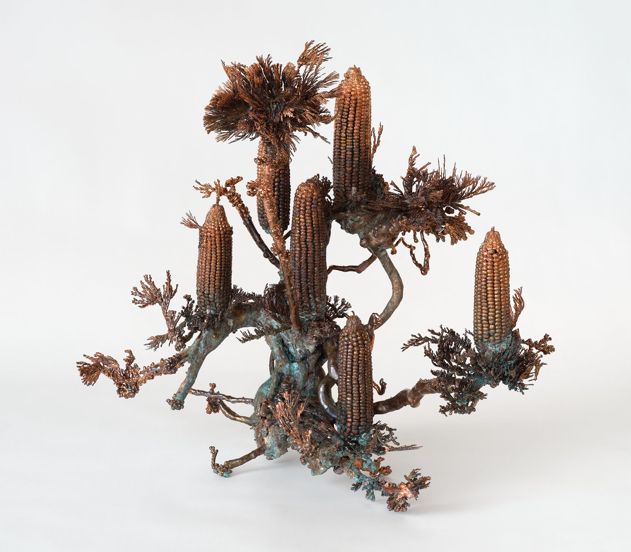 Dendrite Bonsai (Corn)