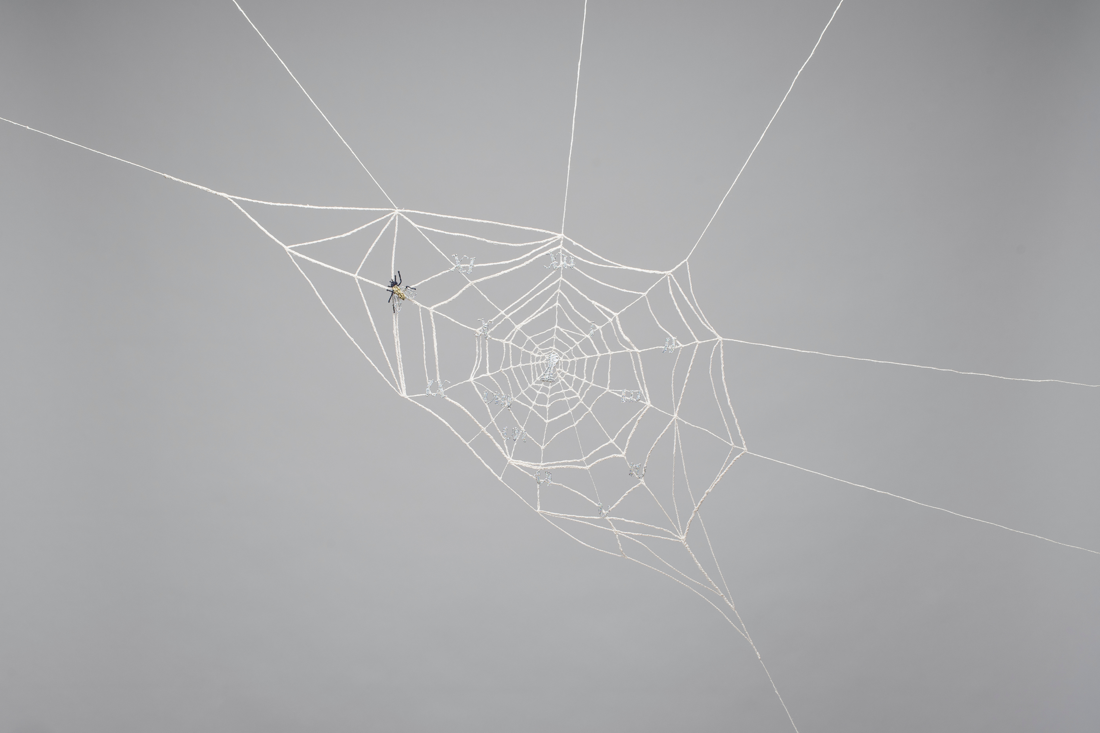Spider web, Chronos (The Clock and the Spider)