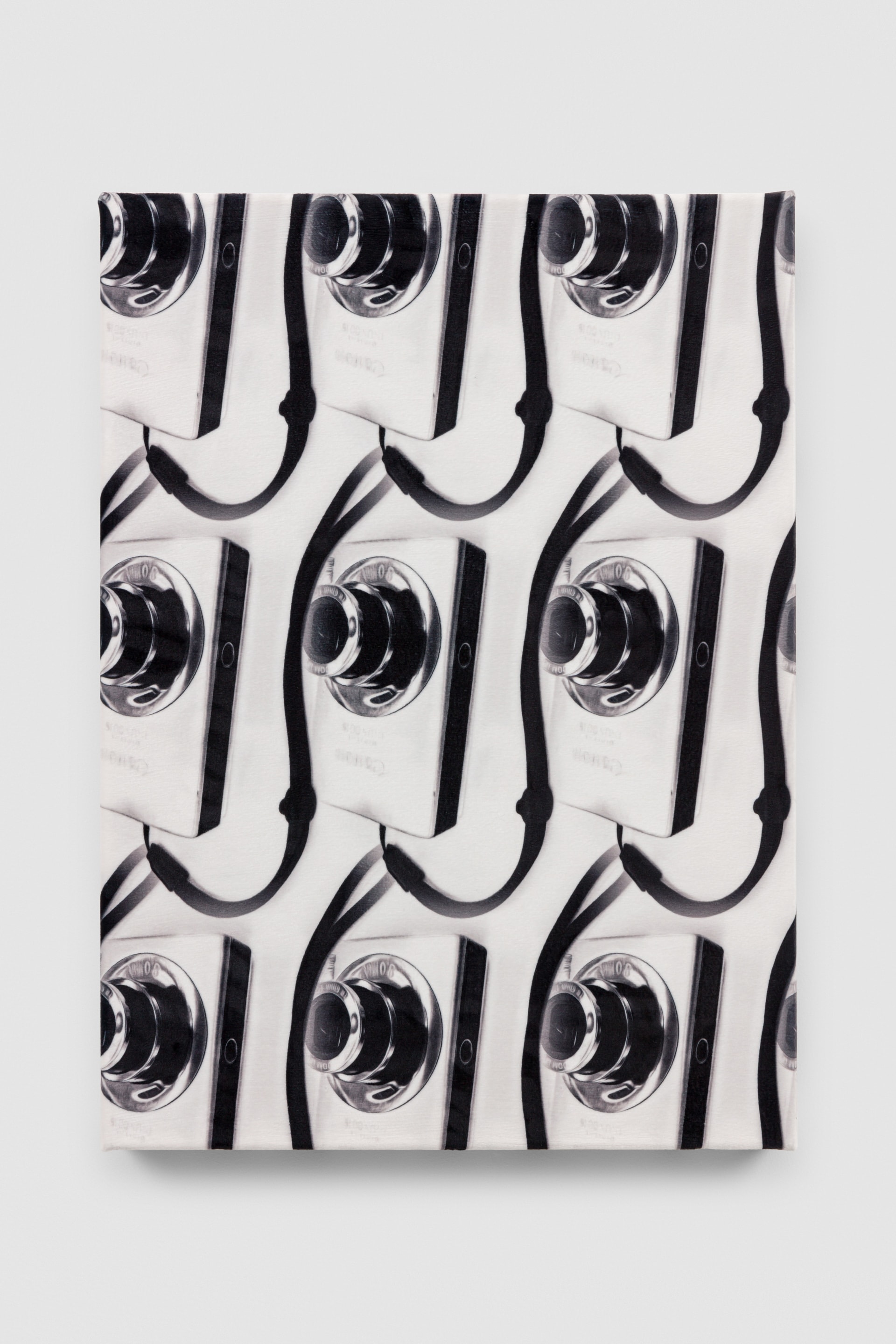 Multiple Cameras