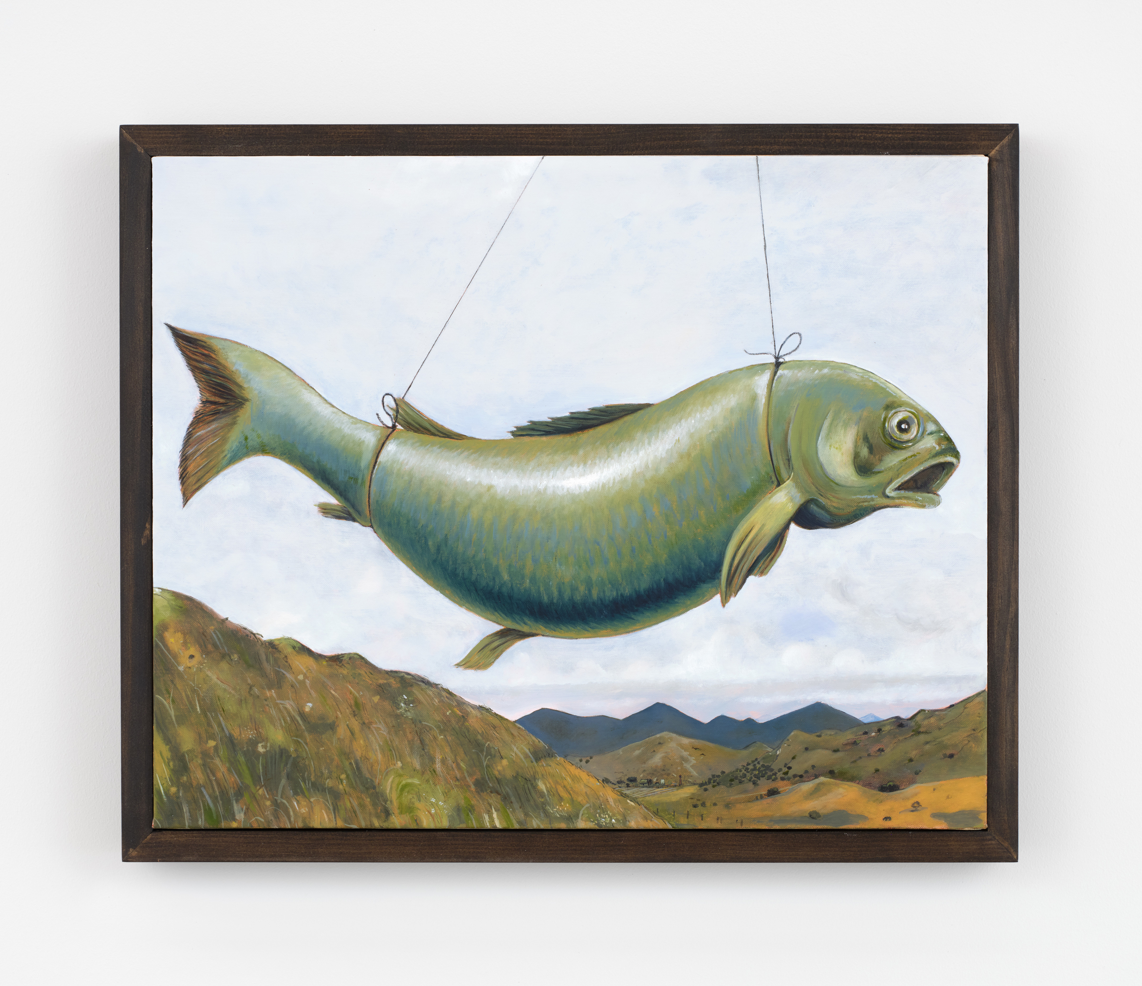 Flying Fish