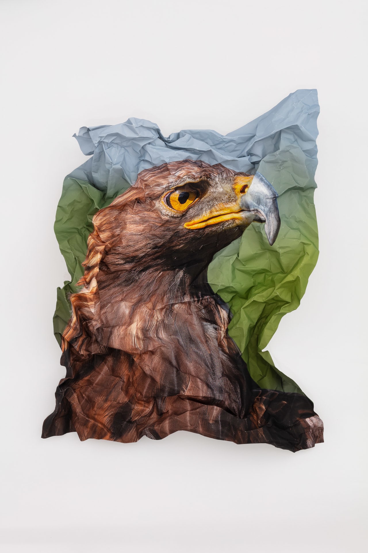 British Birds of Prey: Golden Eagle