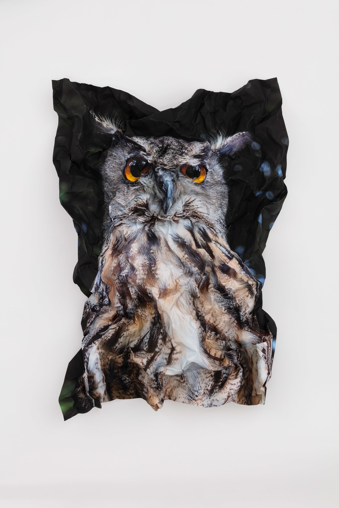 British Birds of Prey: Eagle Owl