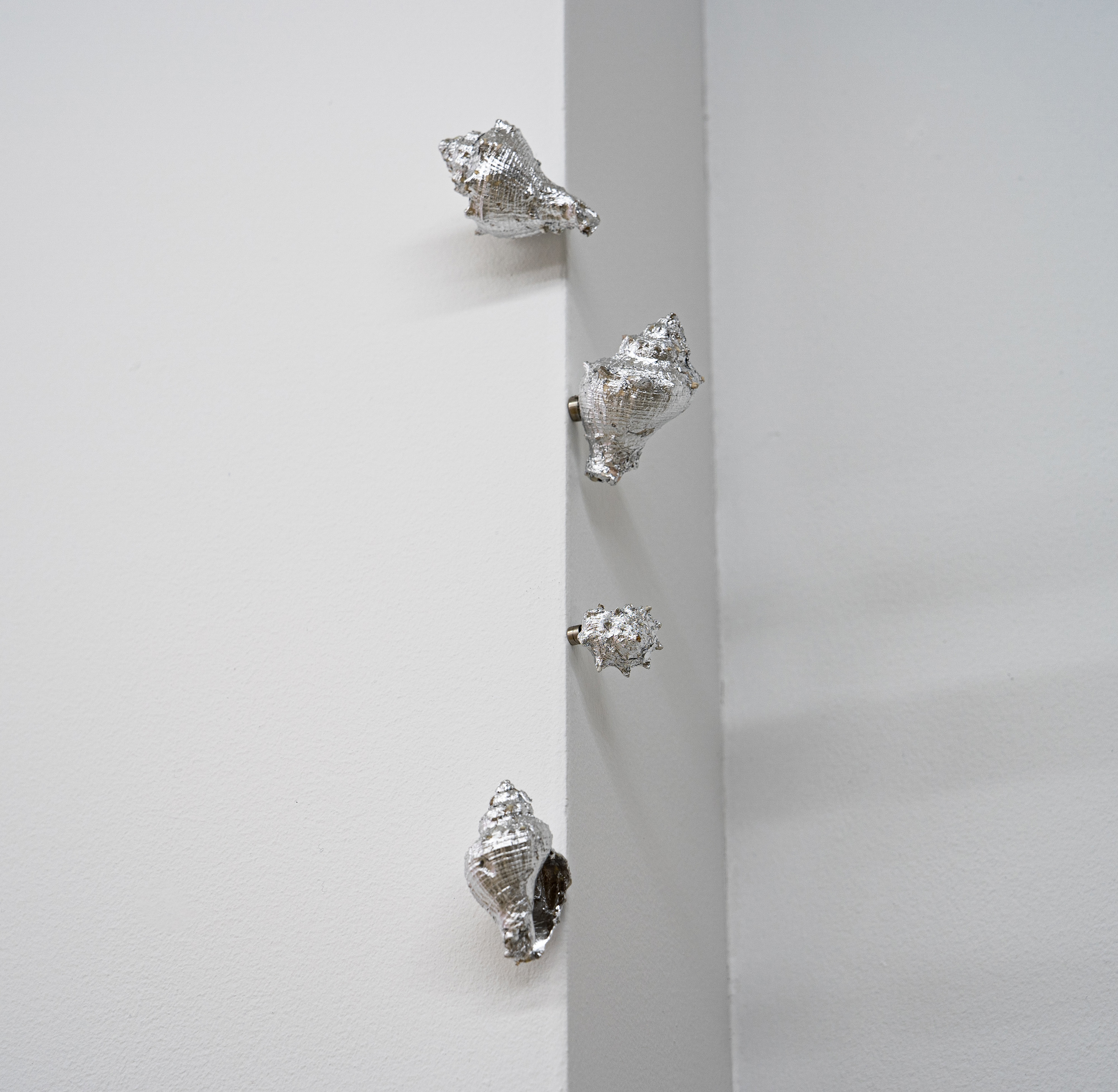 Coquillages, feuilles d’argent, aimants