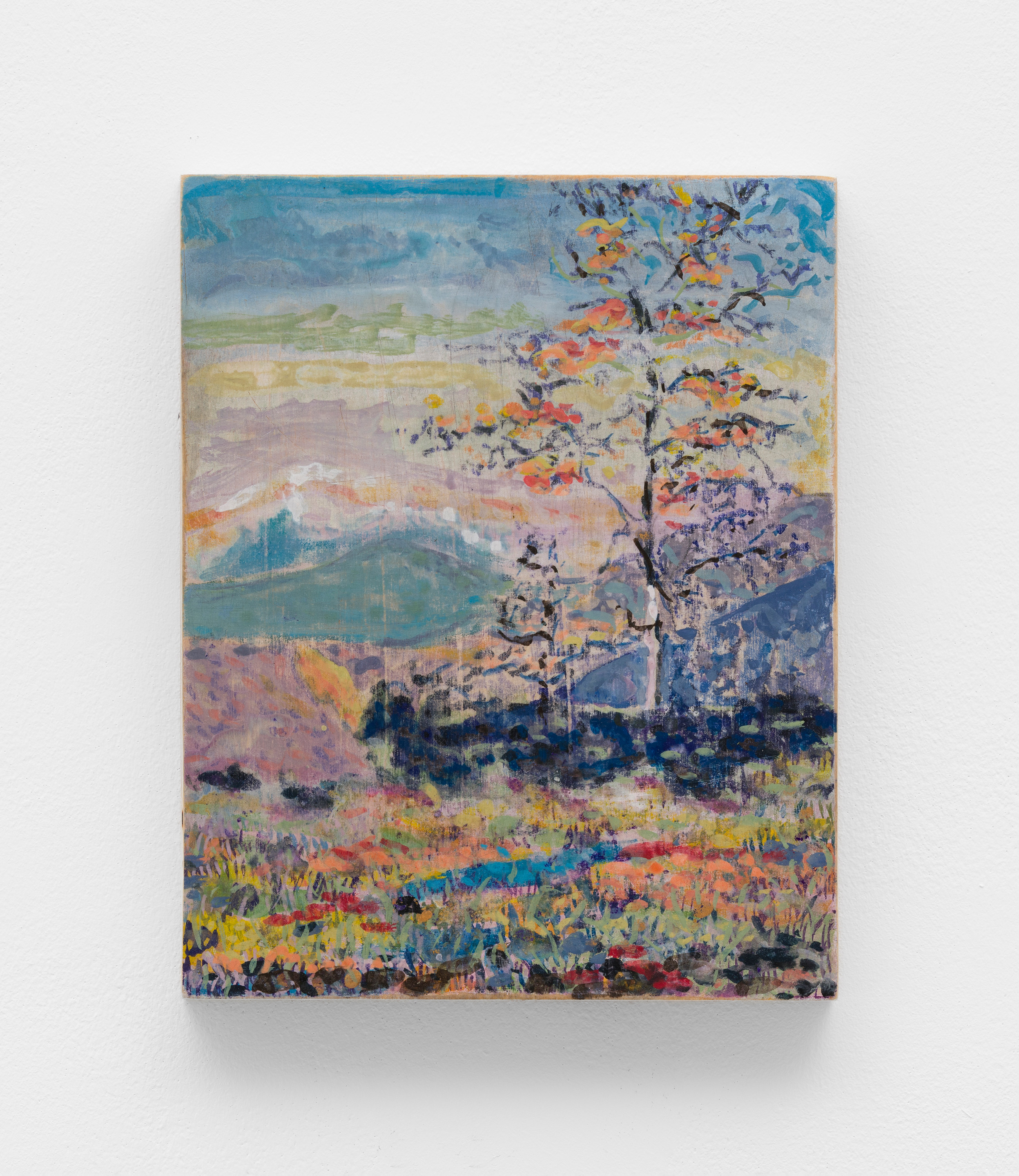 Flowers, Tree, Hill
