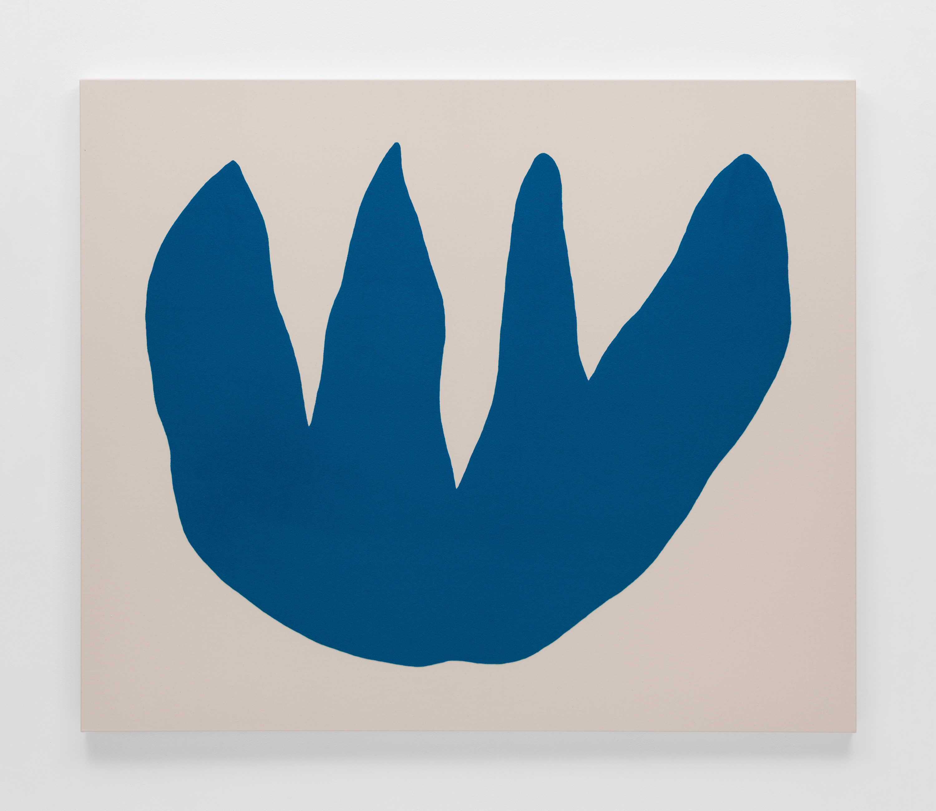 Fiore blu