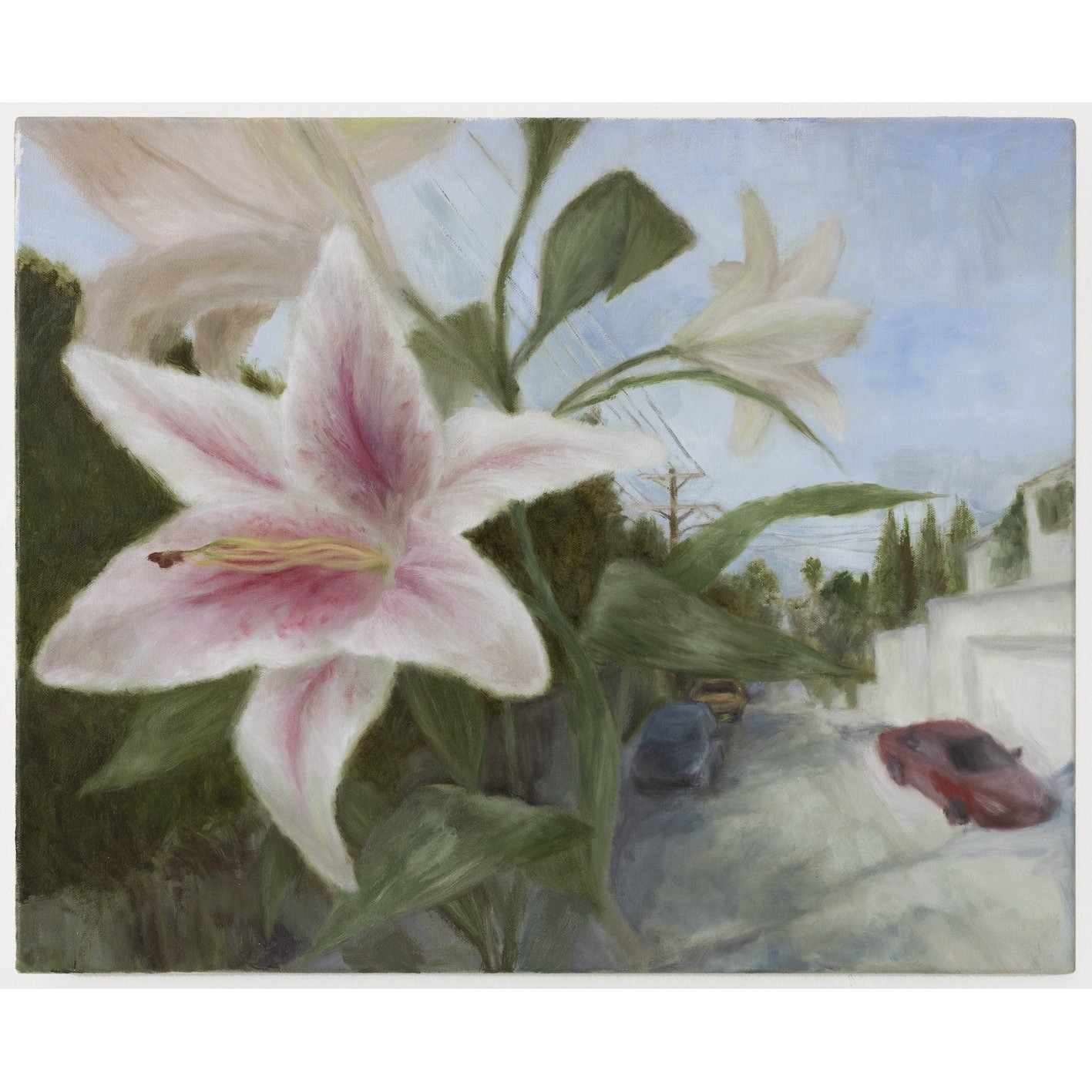Los Angeles Silk 2