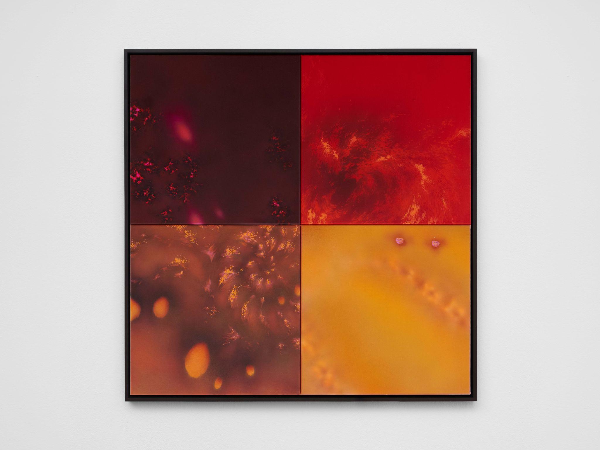 Natacha Donzé, Repository, cycles