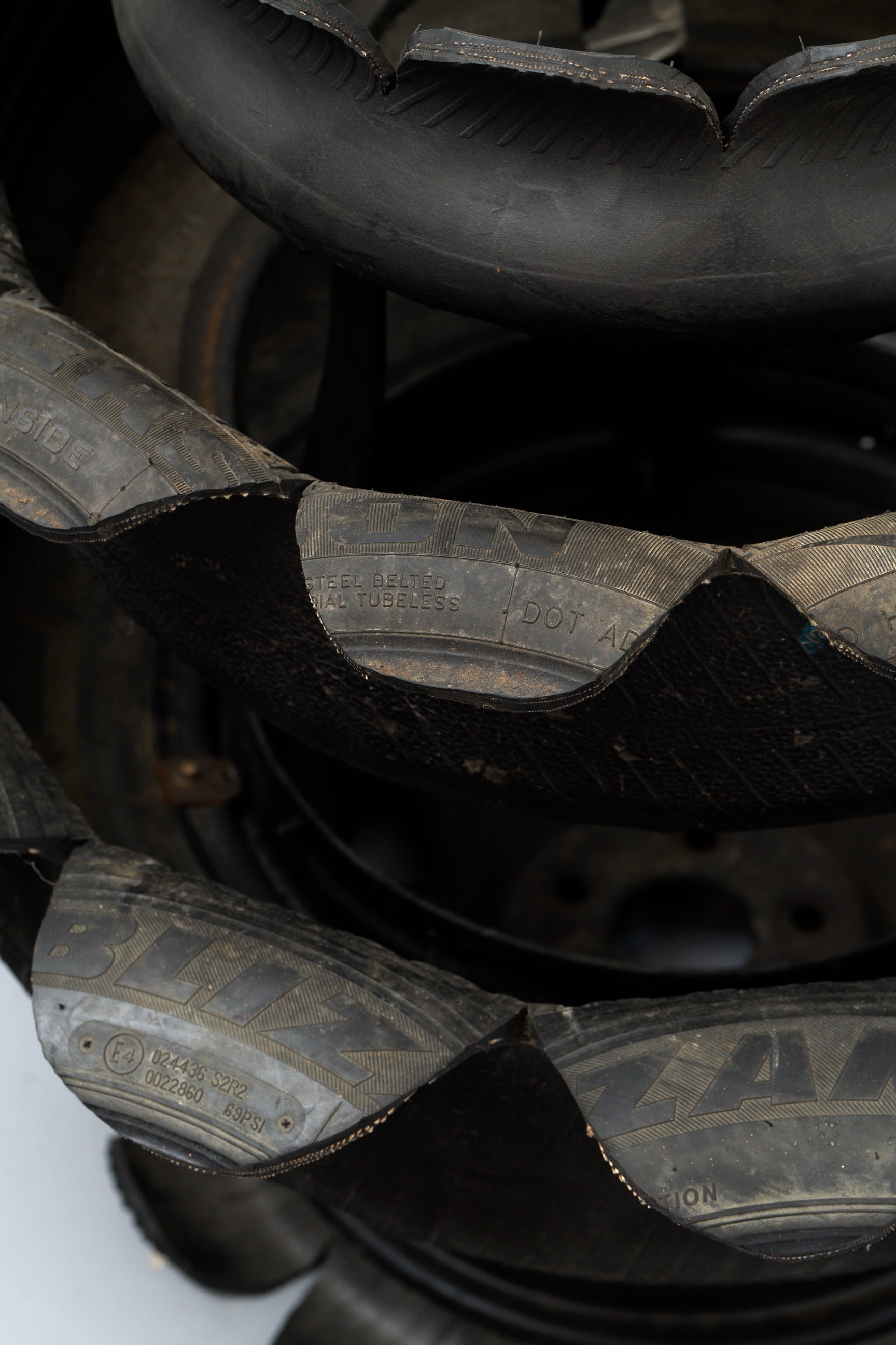 Untitled (Tire Planter) 1